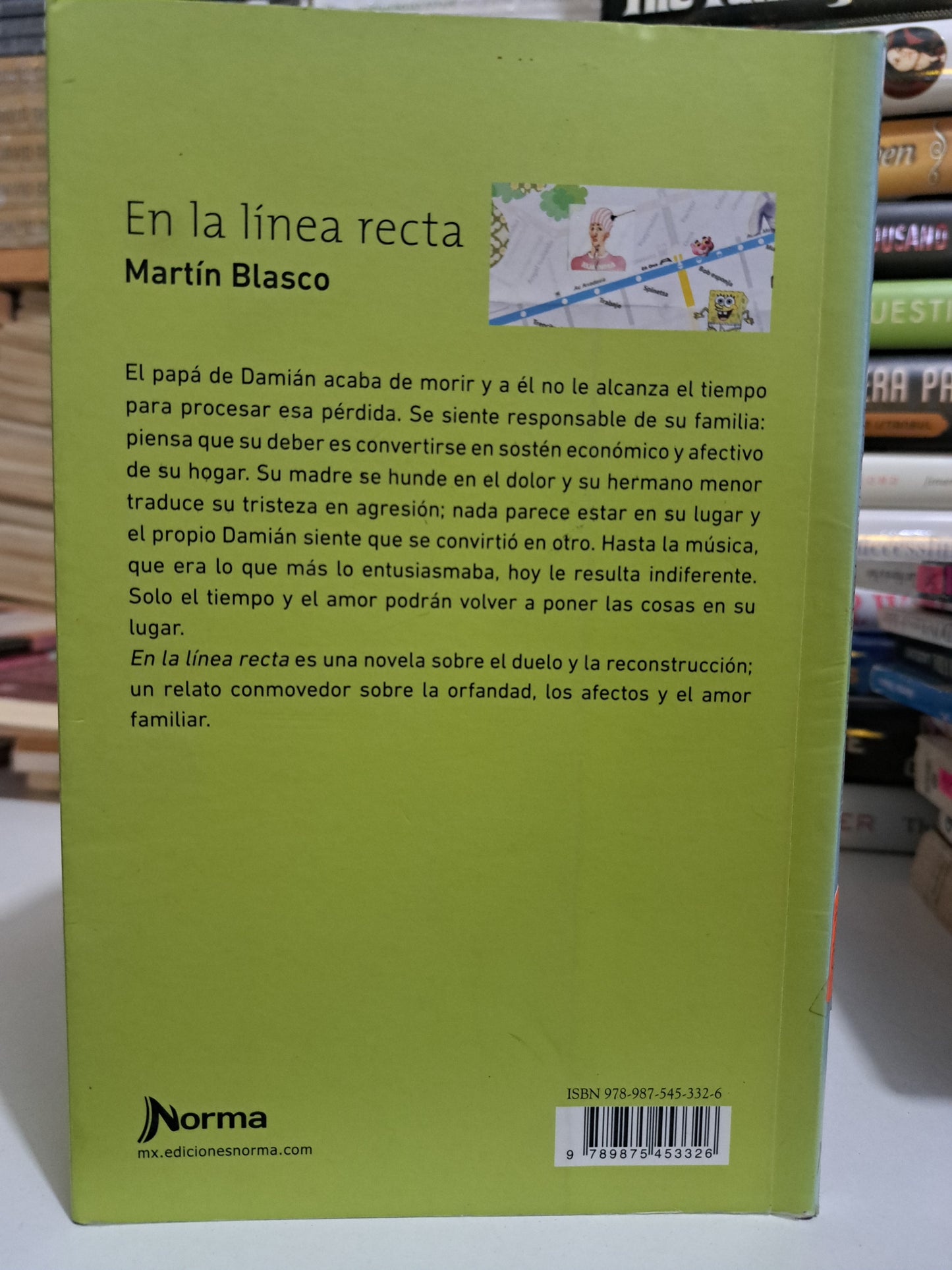 EN LA LÍNEA RECTA MARTÍN BLASCO USADO NOVELA JUÁREZ