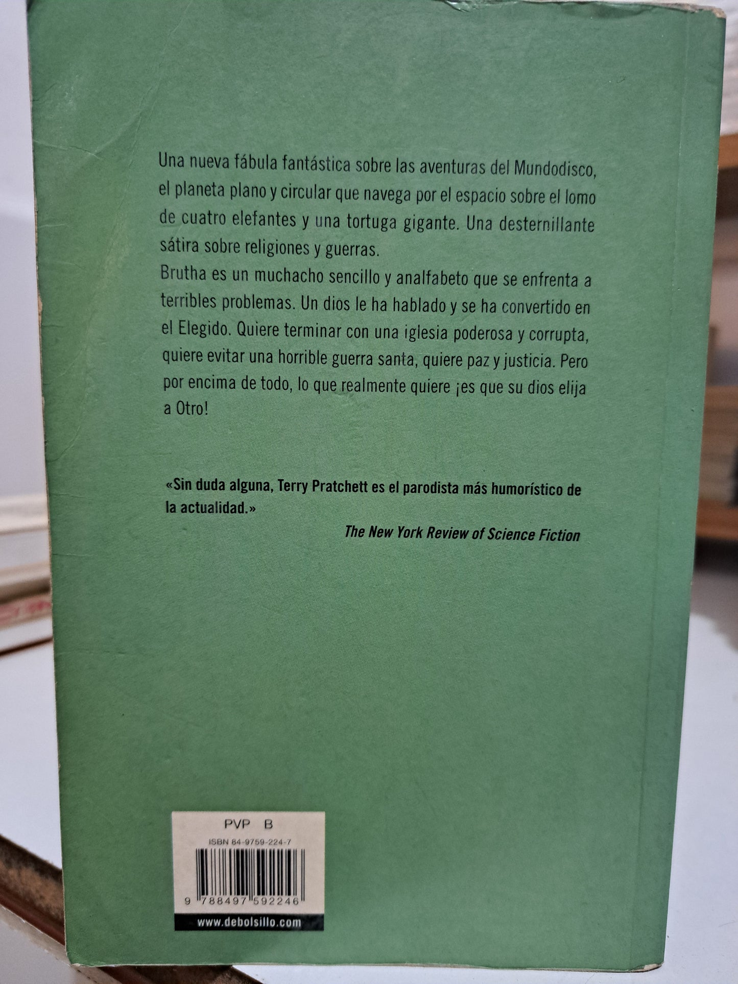 DIOSES MENORES TERRY PRATCHETT USADO NOVELA JUÁREZ