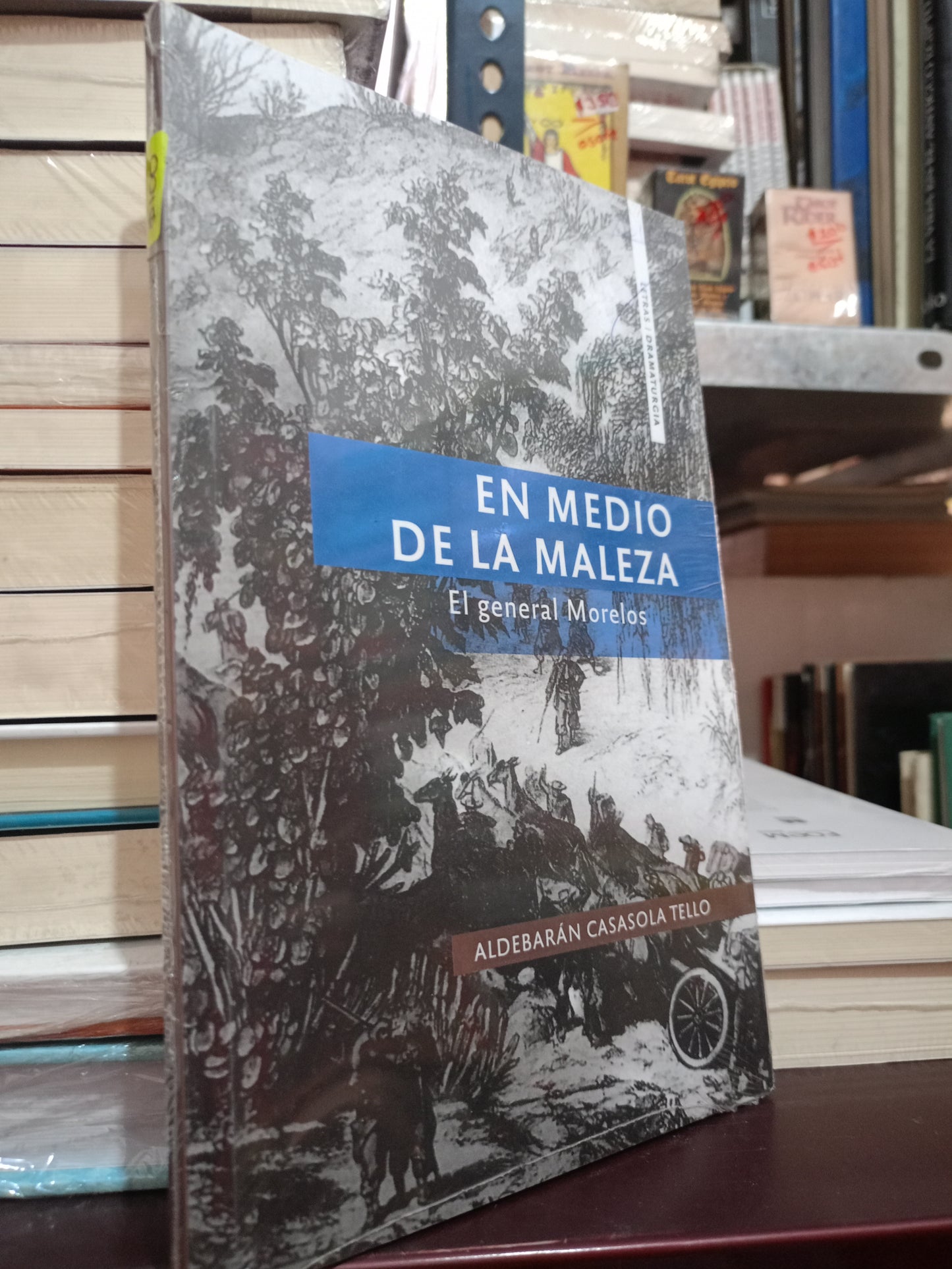 EN MEDIO DE LA MALEZA POR ALDEBARAN CASASOLA TELLO NUEVO LITERARIO 305