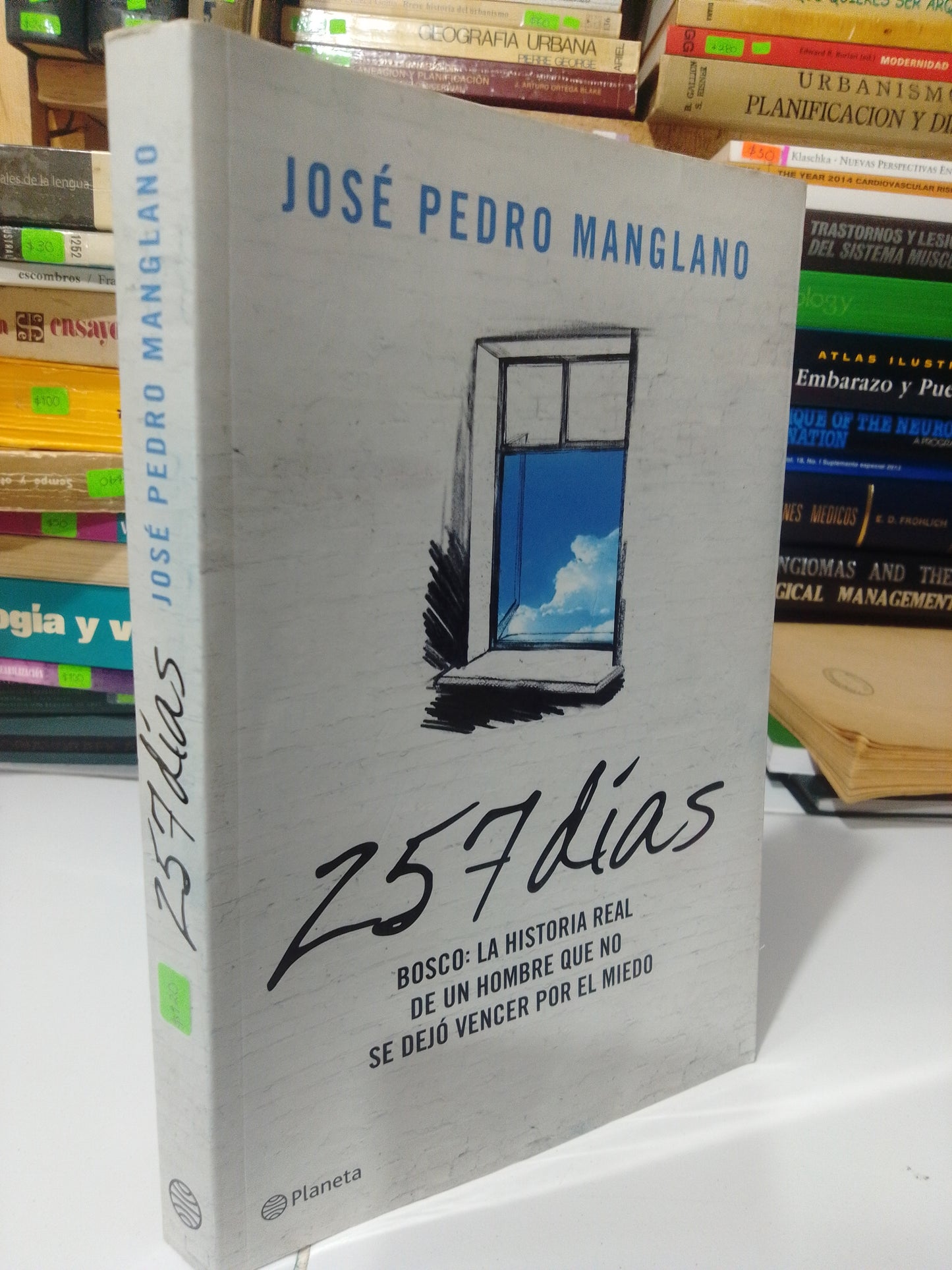 257 DIAS POR JOSE PEDRO MANGLANO USADO NOVELA JUAREZ