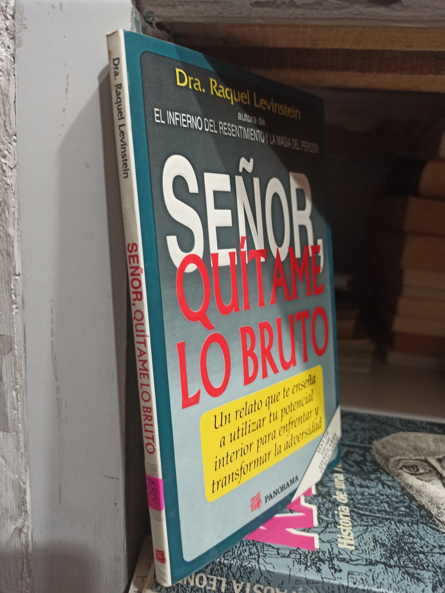 SEÑOR QUITAME LO BRUTO POR RAQUEL LEVINSTEIN USADO SUP PERSONAL JUÁREZ