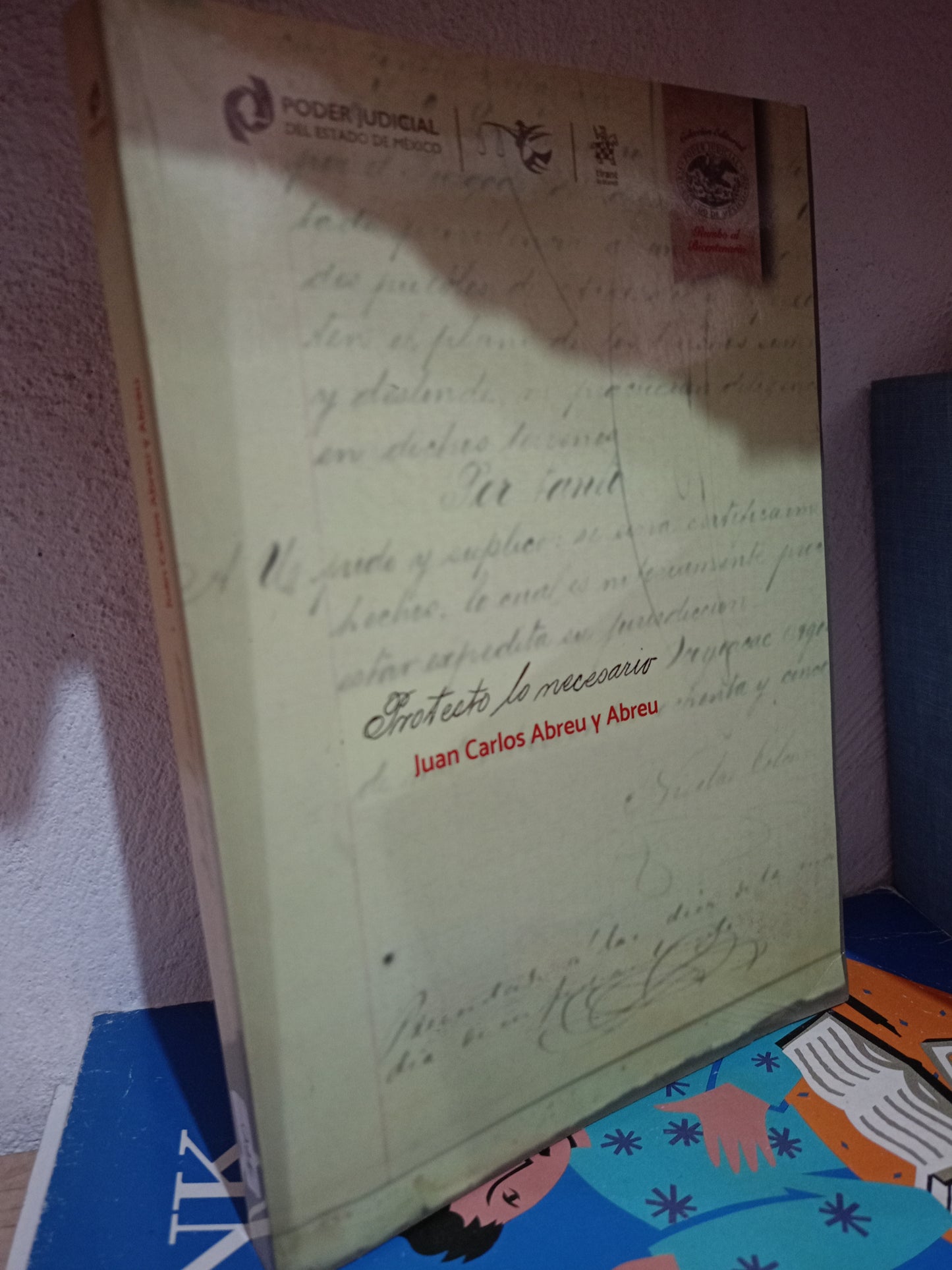 PROTESTO LO NECESARIO POR JUAN CARLOS ABREU Y ABREU USADO DERECHO LITERARIO 305