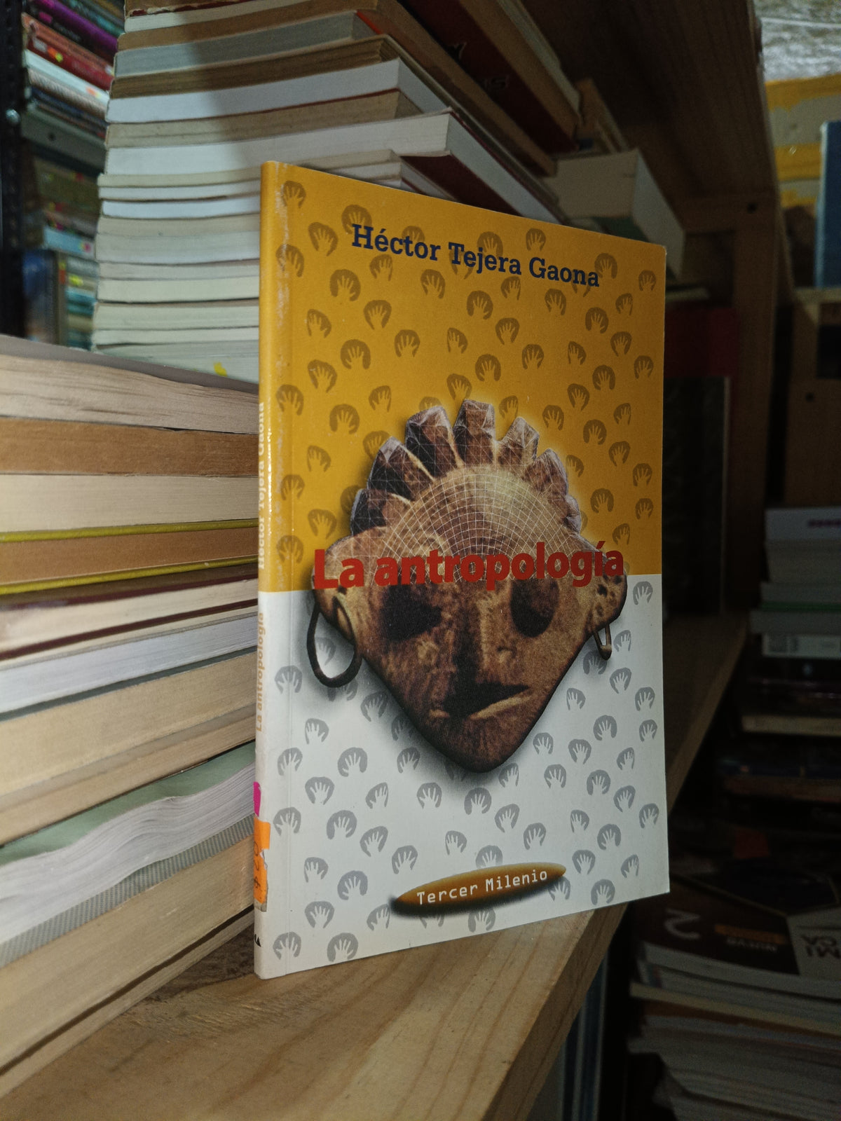 LA ANTROPOLOGIA POR HECTOR TEJERA GAONA USADO HISTORIA ALDAMA