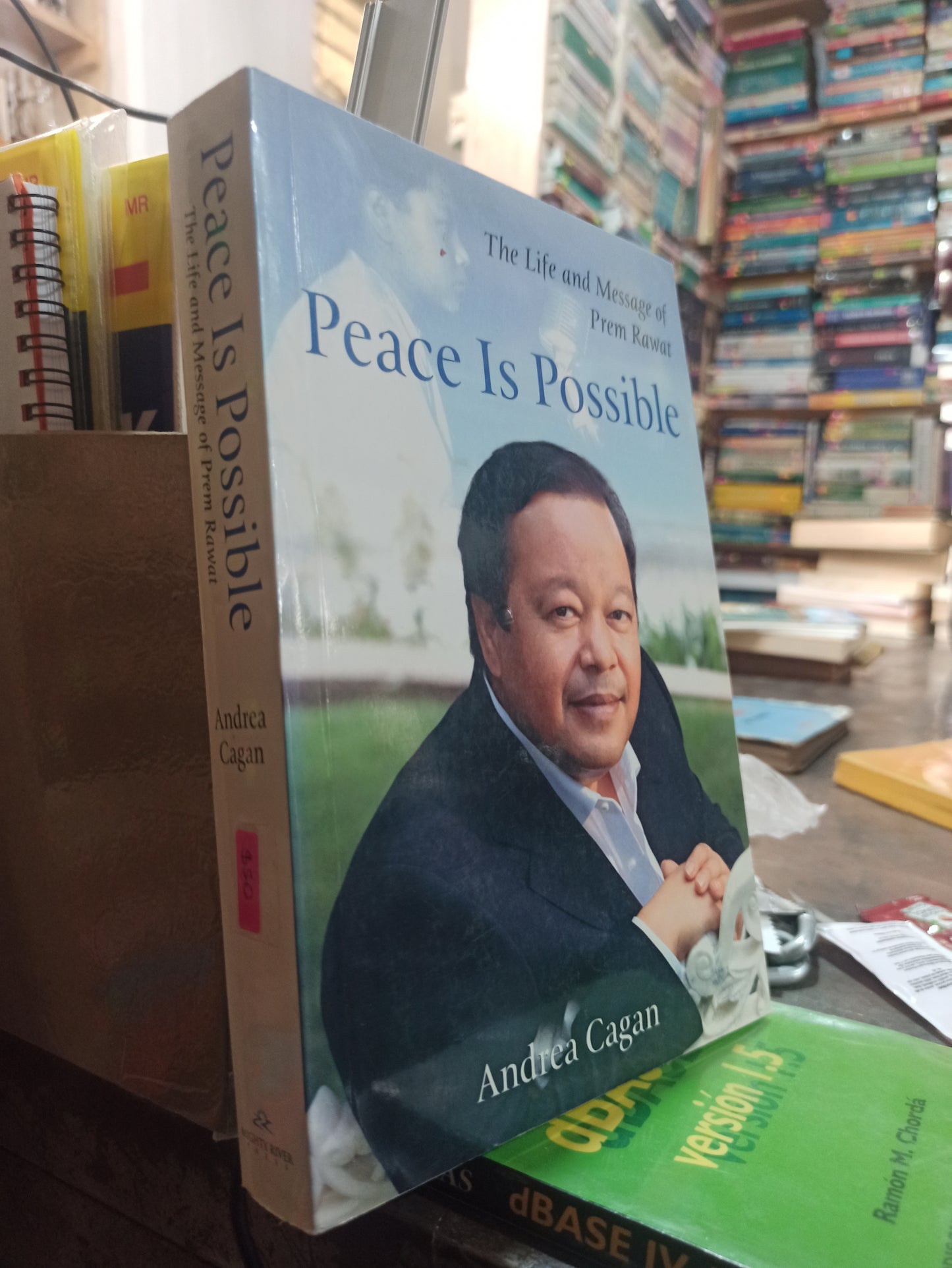 PEACE IS POSSIBLE POR ANDREA CAGAN USADO IDIOMAS ALDAMA