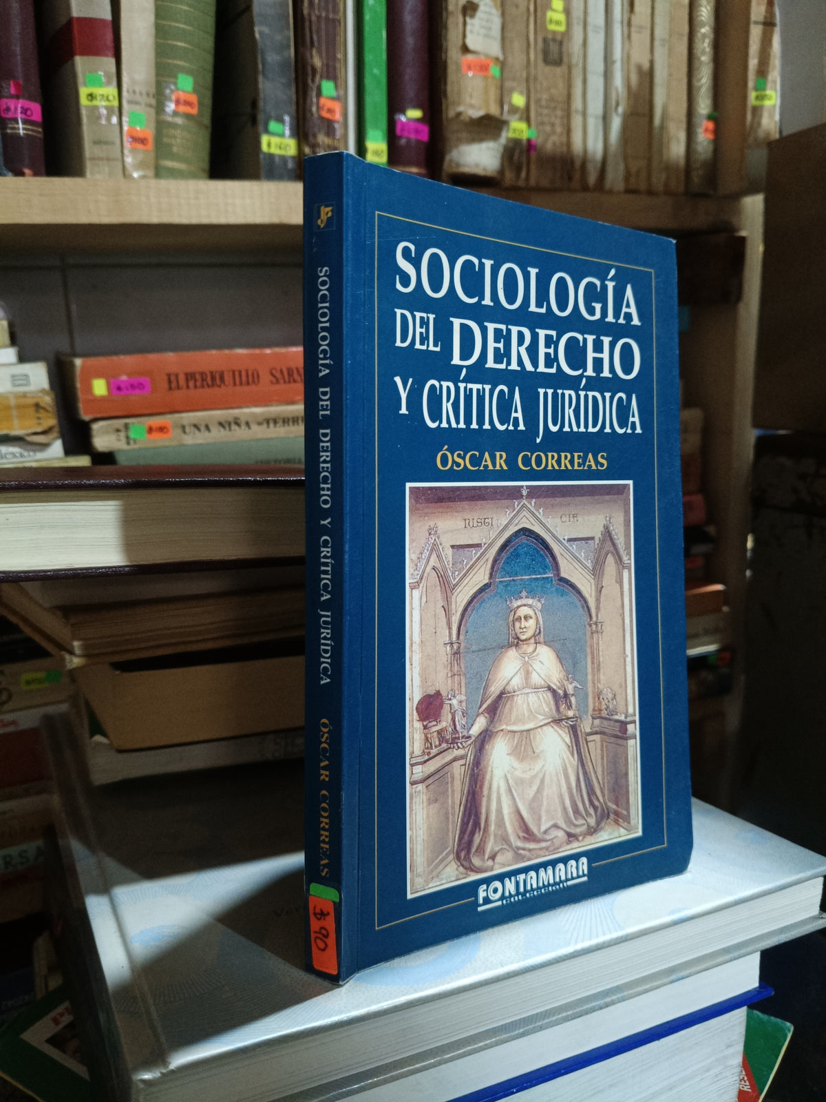 SOCIOLOGIA DEL DERECHO Y CRITICA JURIDICA POR OSCAR CORREAS USADO DERECHO ALDAMA