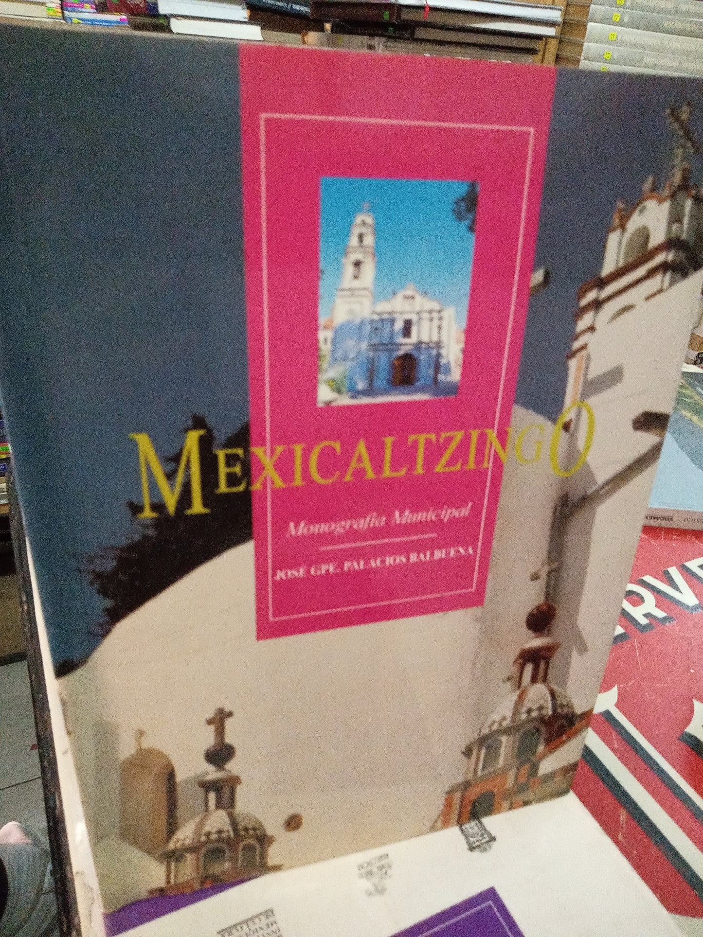 MEXICALTZINGO MONOGRAFIA MUNICIPAL POR JOSE GPE PALACIOS BALBUENA USADO TURISMO LITERARIO 207