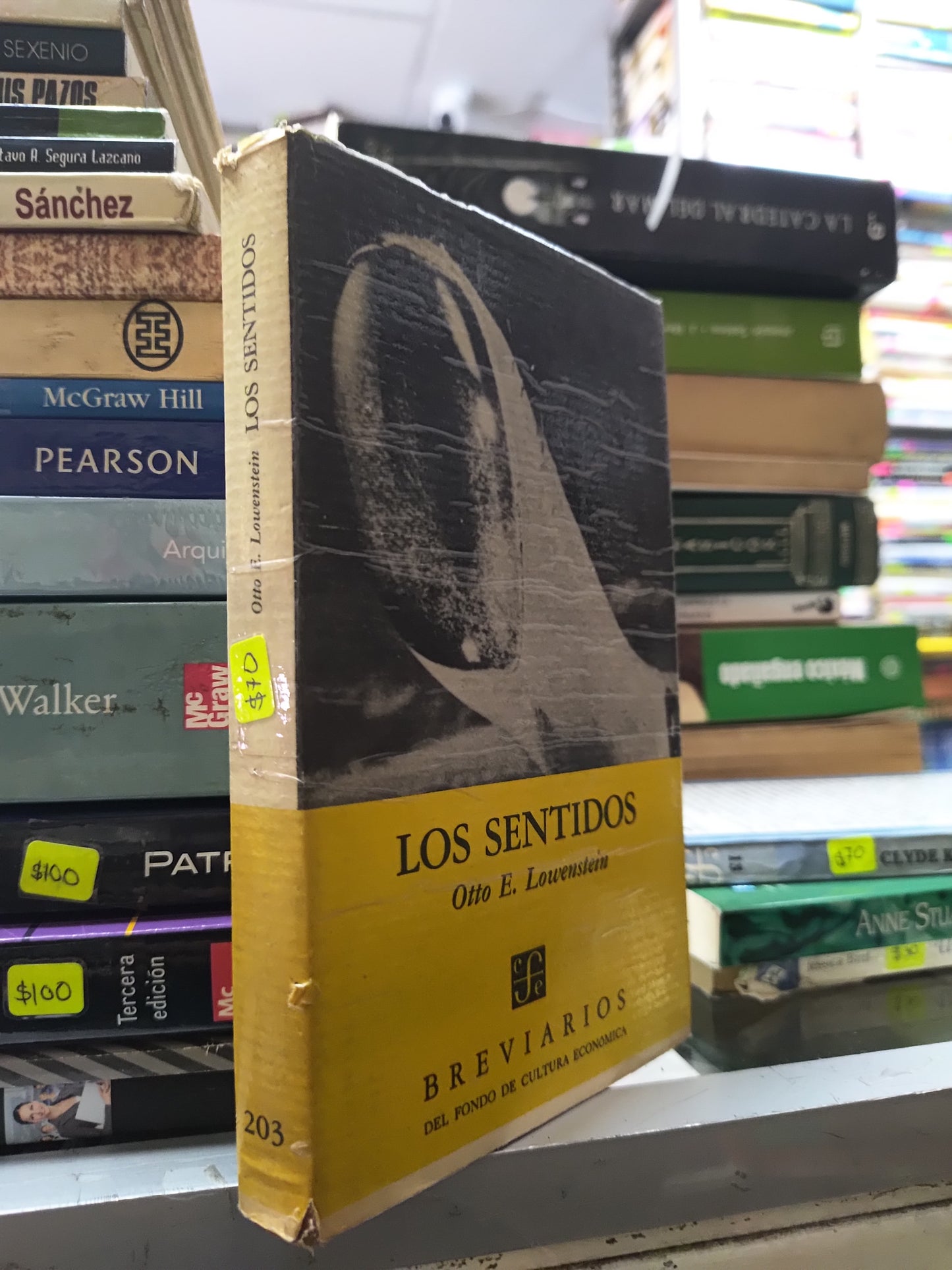 LOS SENTIDOS POR OTTO E. LOWENSTEIN USADO CIENCIAS JUAREZ 507