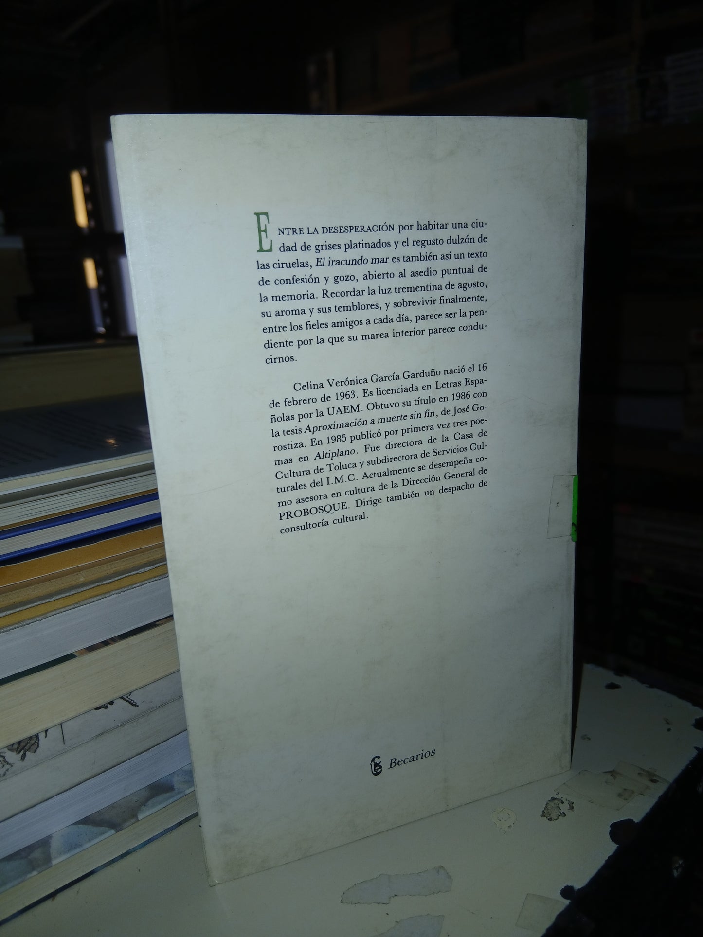 EL IRACUNDO MAR POR CELINA GARCÍA GARDUÑO USADO POESÍA LITERARIO 207