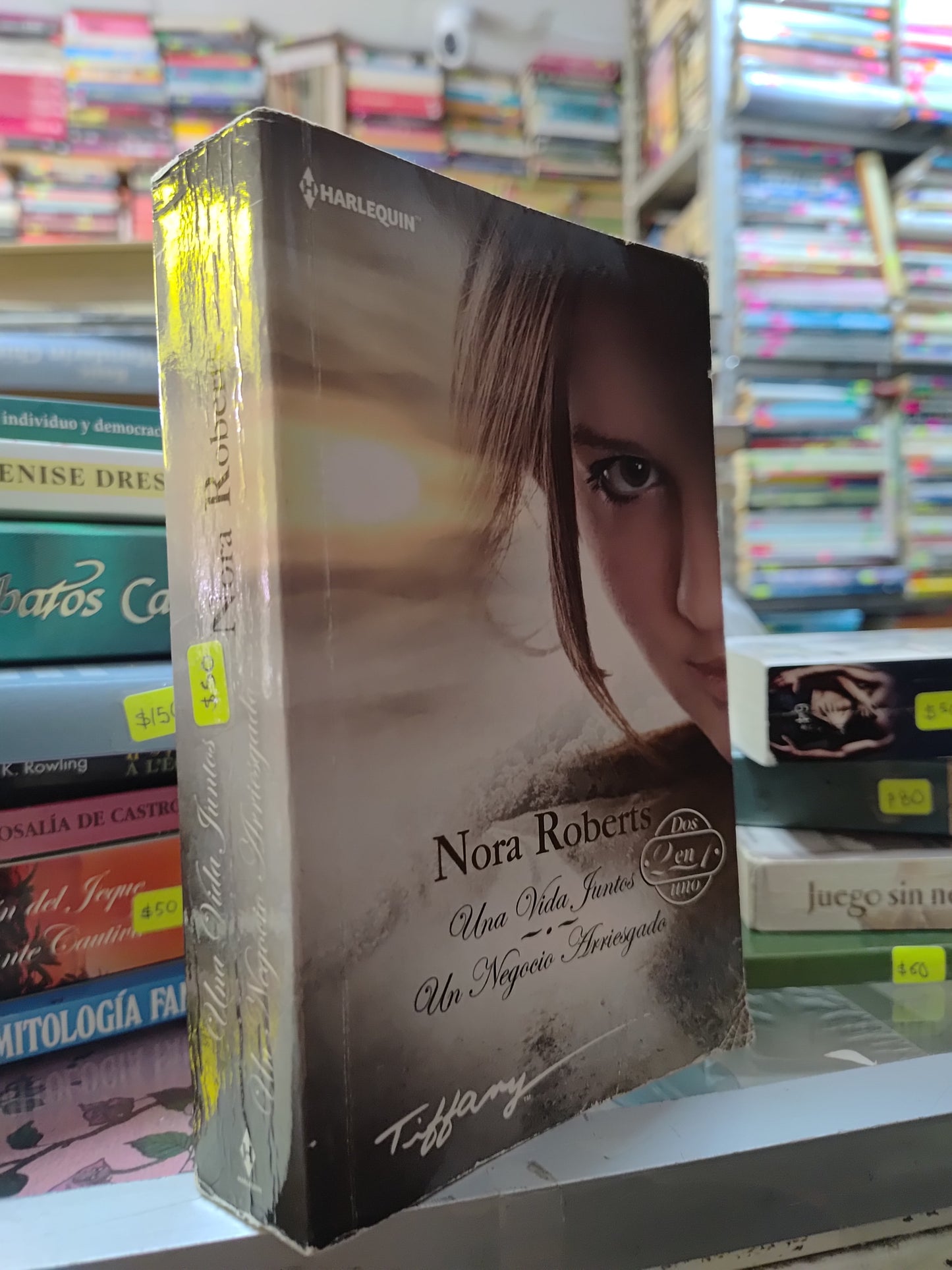 UNA VIDA JUNTOS Y UN NEGOCIO ARRIESGADO POR NORA ROBERTS USADO NOVELAS JUAREZ