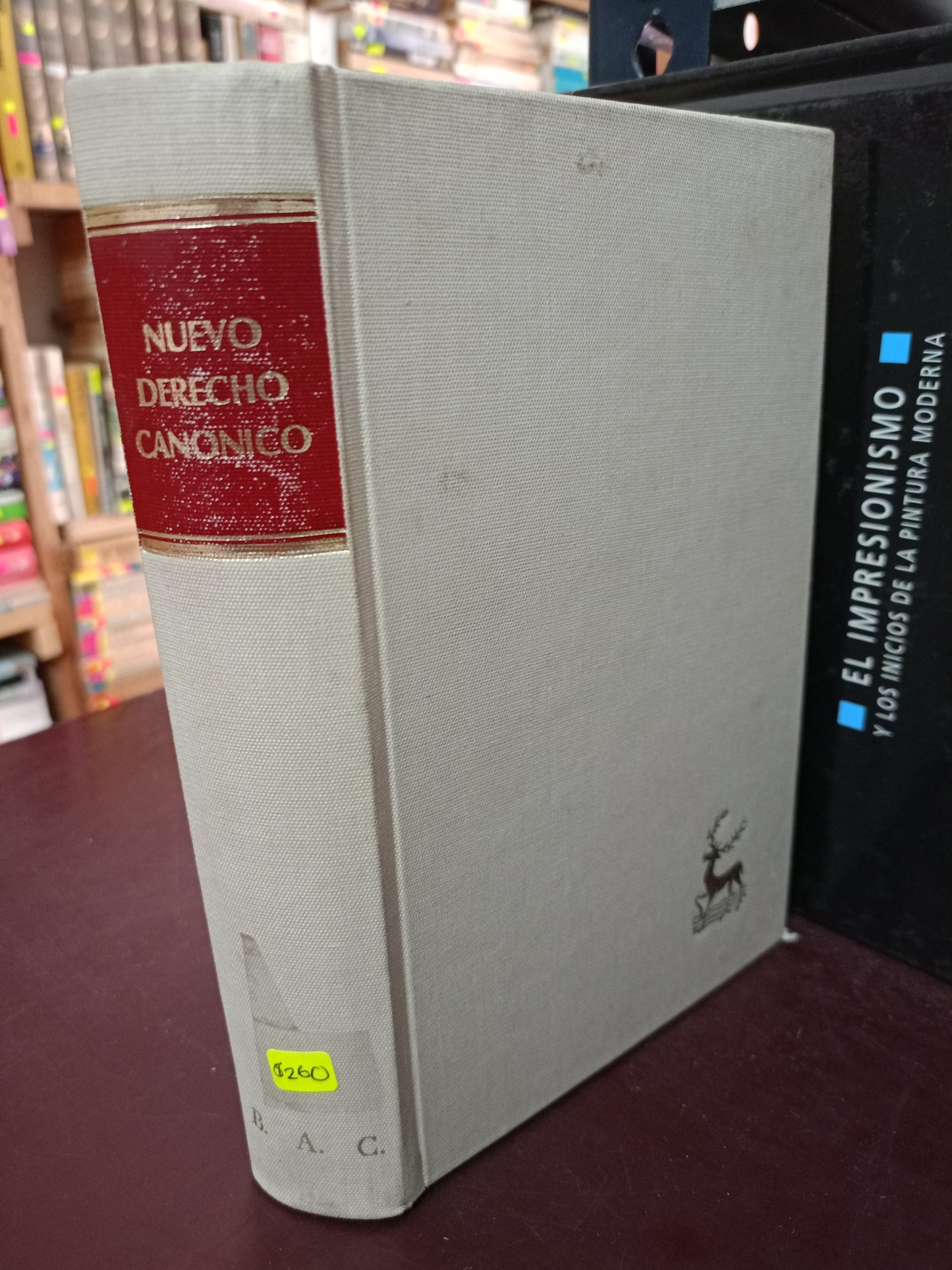 NUEVO DERECHO CANÓNICO USADO DERECHO LITERARIO 305