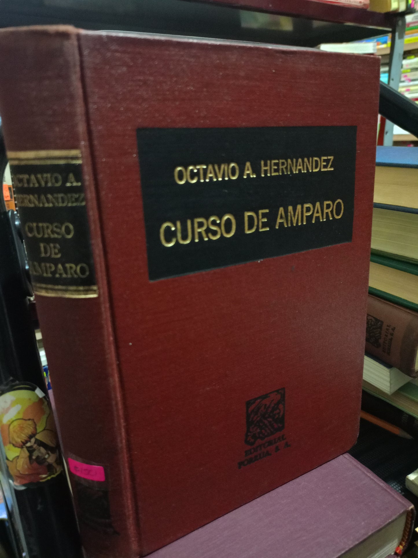 CURSO DE AMPARO POR OCTAVIO A. HERNANDEZ USADO DERECHO LITERARIO 305