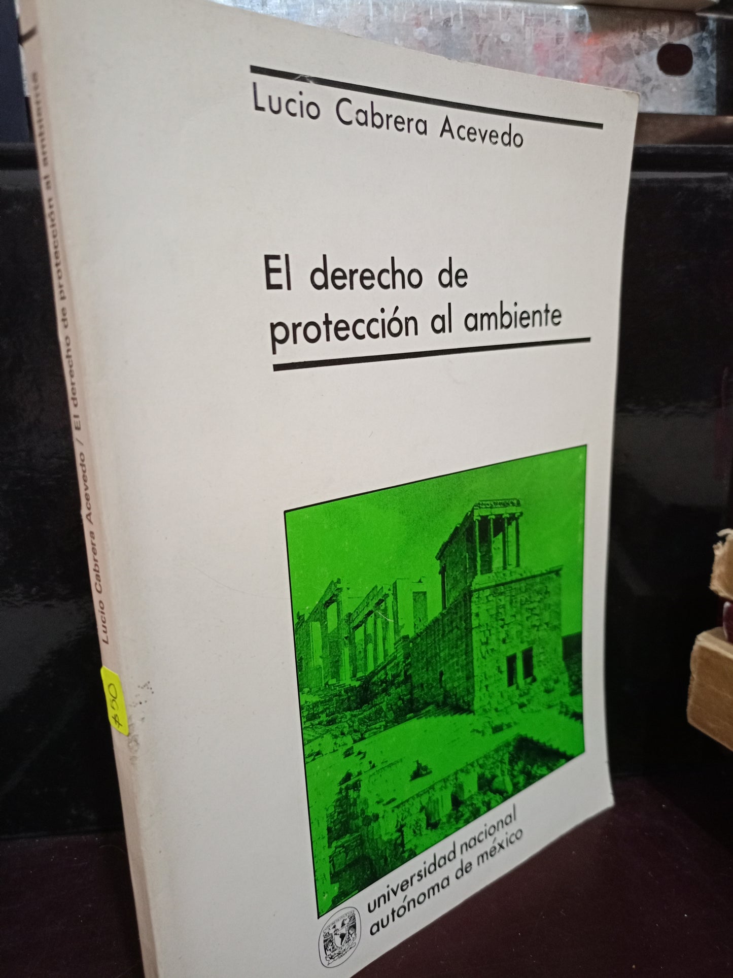 EL DERECHO DE PROTECCION AL AMBIENTE LUCIO CABRERA ACEVEDO USADO DERECHO LITERARIO 305