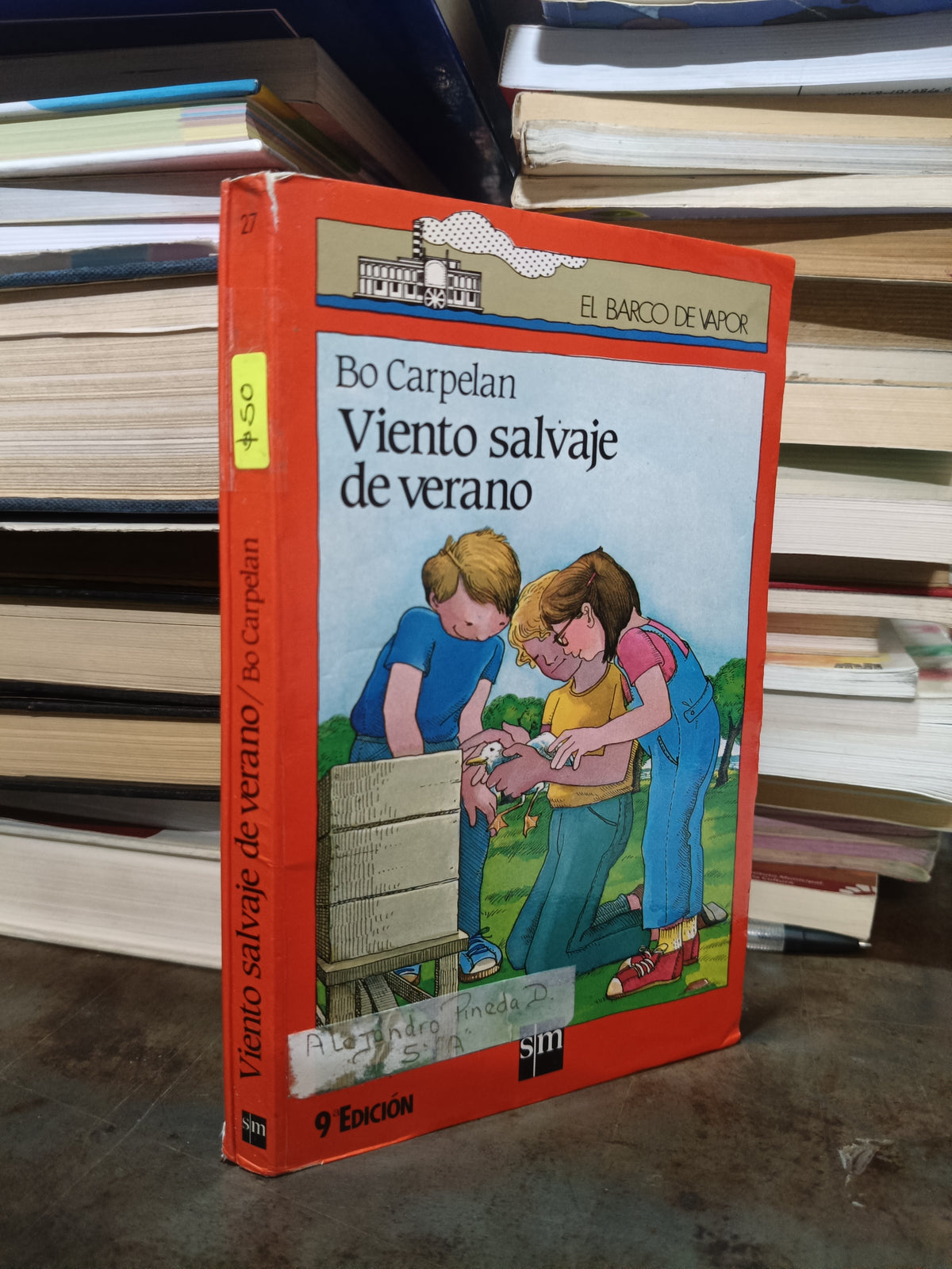 VIENTO SALVAJE DE VERANO POR BO CARPELAN USADO INFANTIL ALDAMA
