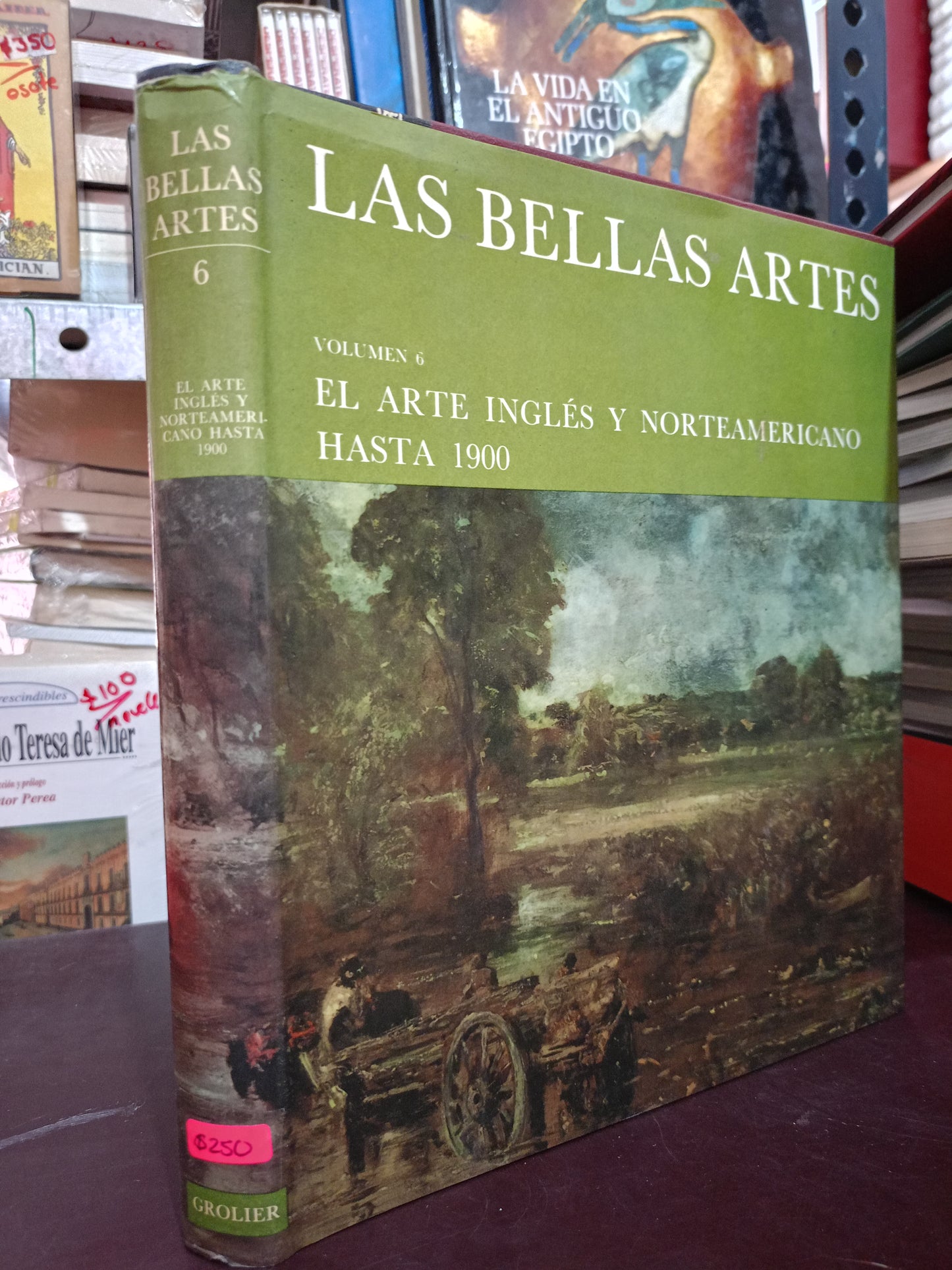 LAS BELLAS ARTES EL ARTE INGLÉS Y NORTEAMERICANO HASTA 1900 USADO ARTE LITERARIO 305