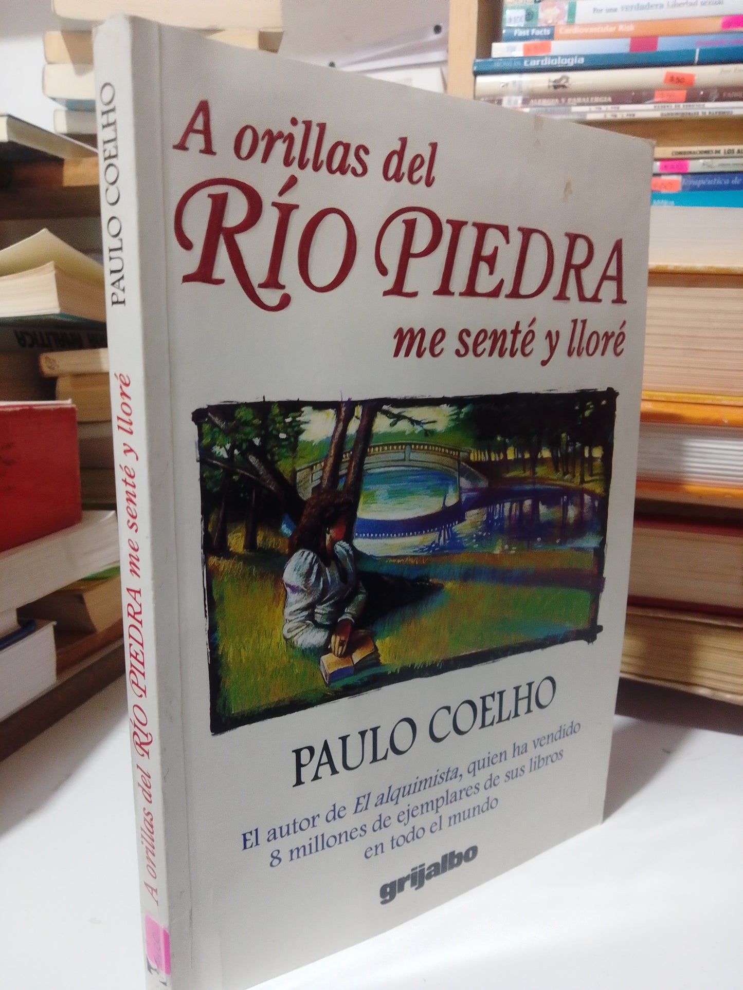 A ORILLAS DEL RIO PIEDRA ME SENTE Y LLORE POR PAULO COELHO USADO SUP.PERSONAL JUAREZ