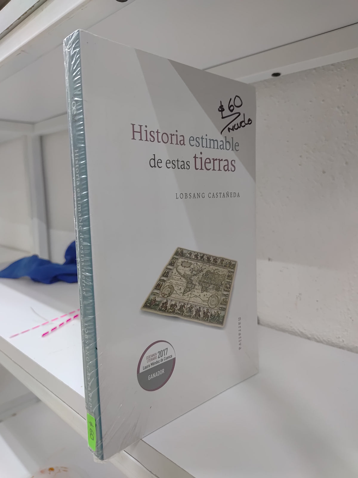 HISTORIA ESTIMABLE DE ESTAS TIERRAS POR LOSBANG CASTAÑEDA USADO NOVELAS JUAREZ 515