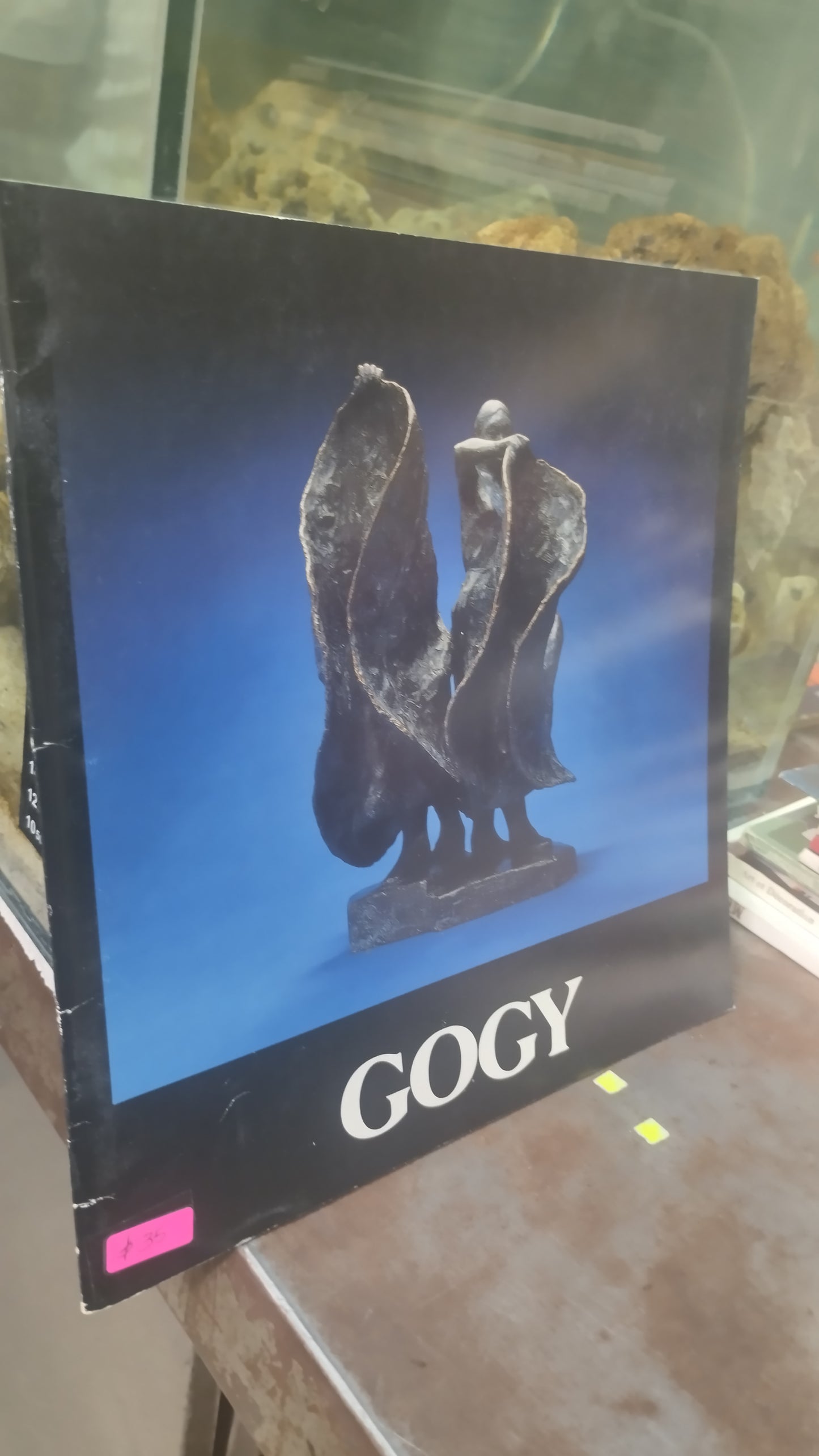 GOGY LIBRO USADO ARTE ALDAMA