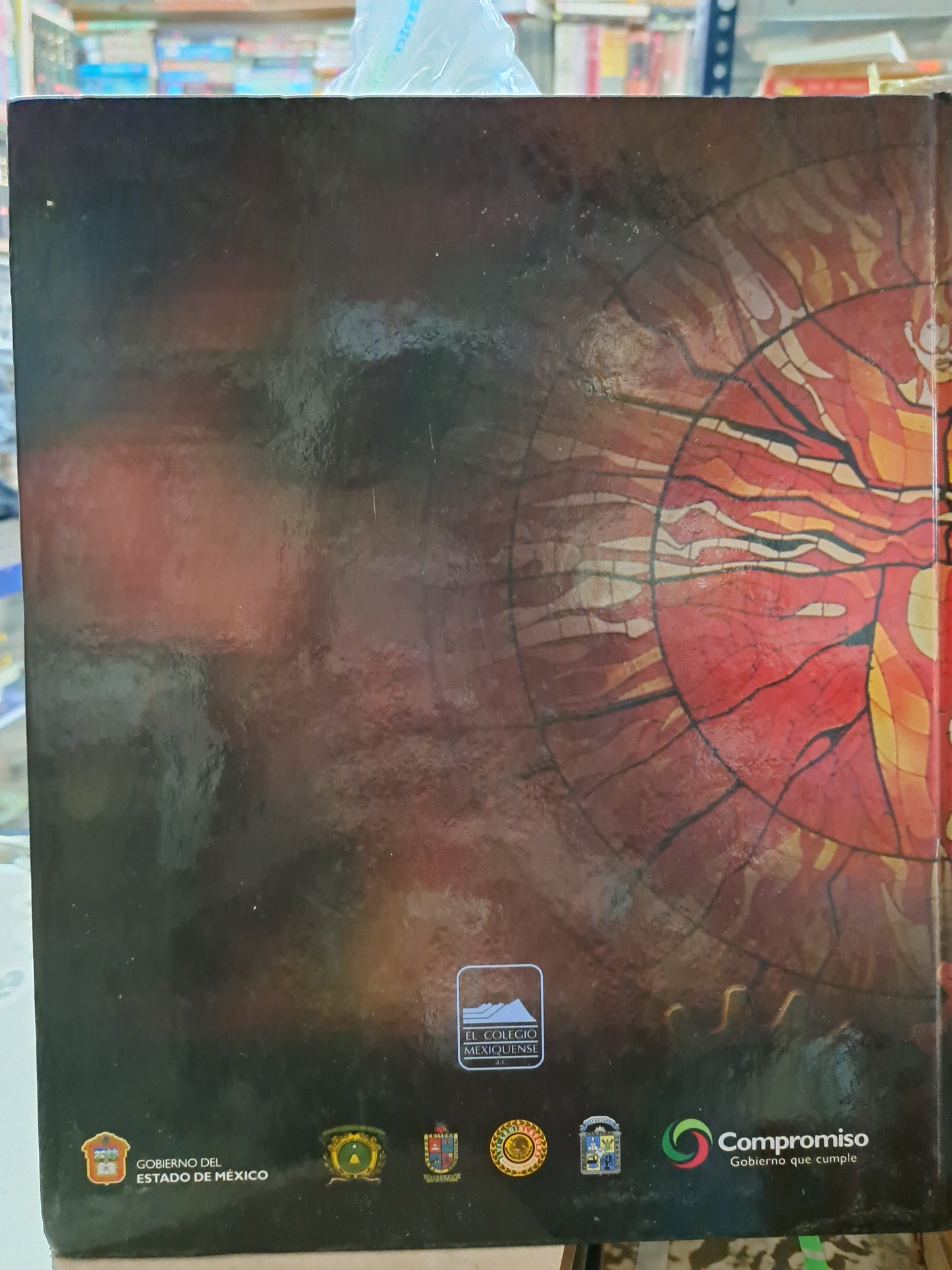 VISIONES DEL ESTADO DE MÉXICO TRADICIÓN, MODERNIDAD Y GLOBALIZACIÓN TOMO 1 Y 2 MÍLADA BAZANT, CARMEN SALINAS SANDOVAL USADO ESTADO DE MÉXICO ALDAMA