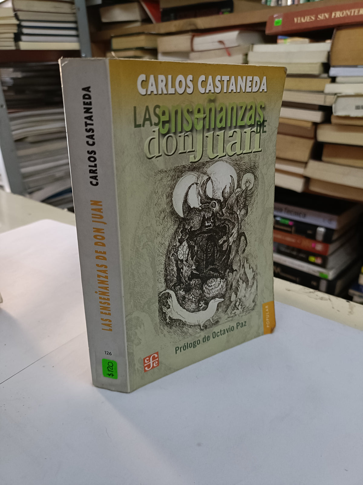 LAS ENSEÑANZAS DE DON JUAN POR CARLOS CASTANEDA USADO NOVELA LITERARIO 207
