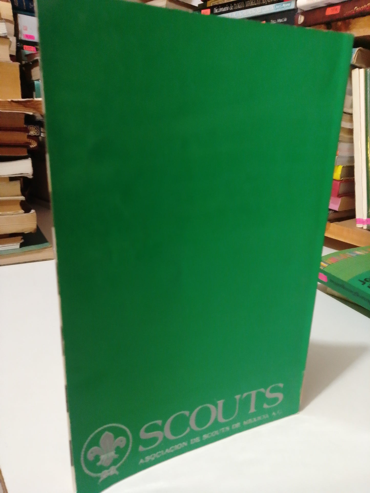 ESPECIALIDADES SCOUTS USADO NOVELA JUÁREZ