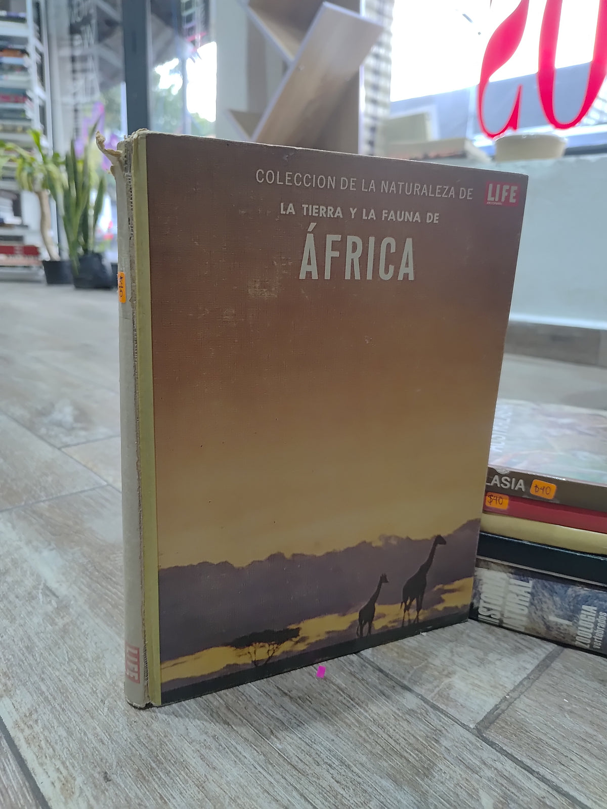 AFRICA POR EDITORIAL TIME LIFE USADO BIOLOGIA JUAREZ 515