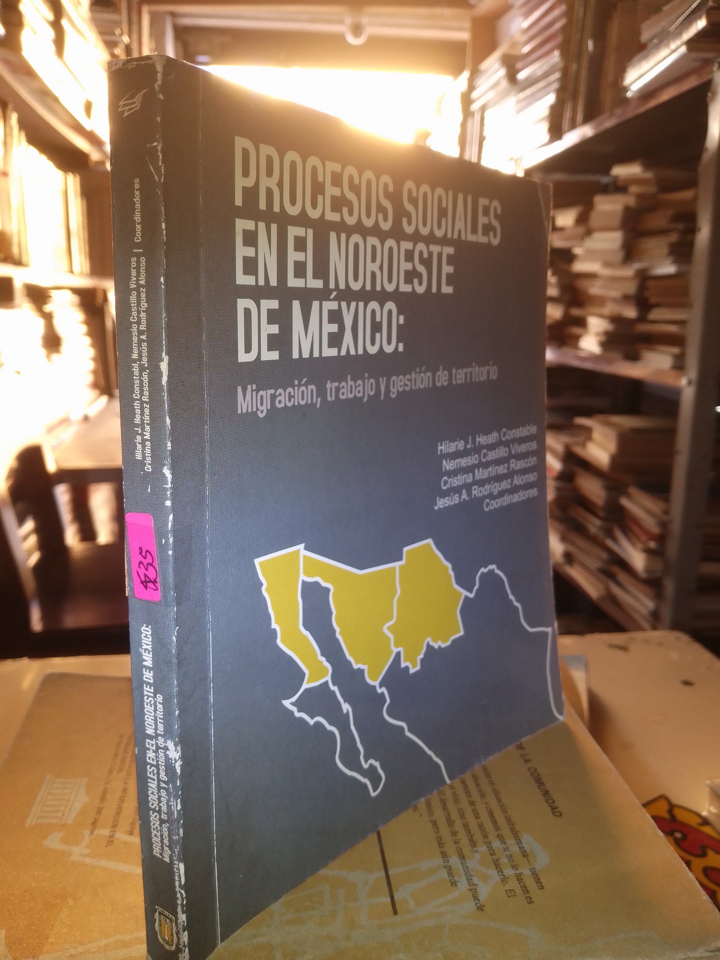 PROCESOS SOCIALES EN EL NOROESTE DE MEXICO POR AUTORES VARIOS USADO SOCIOLOGÍA LITERARIO 207