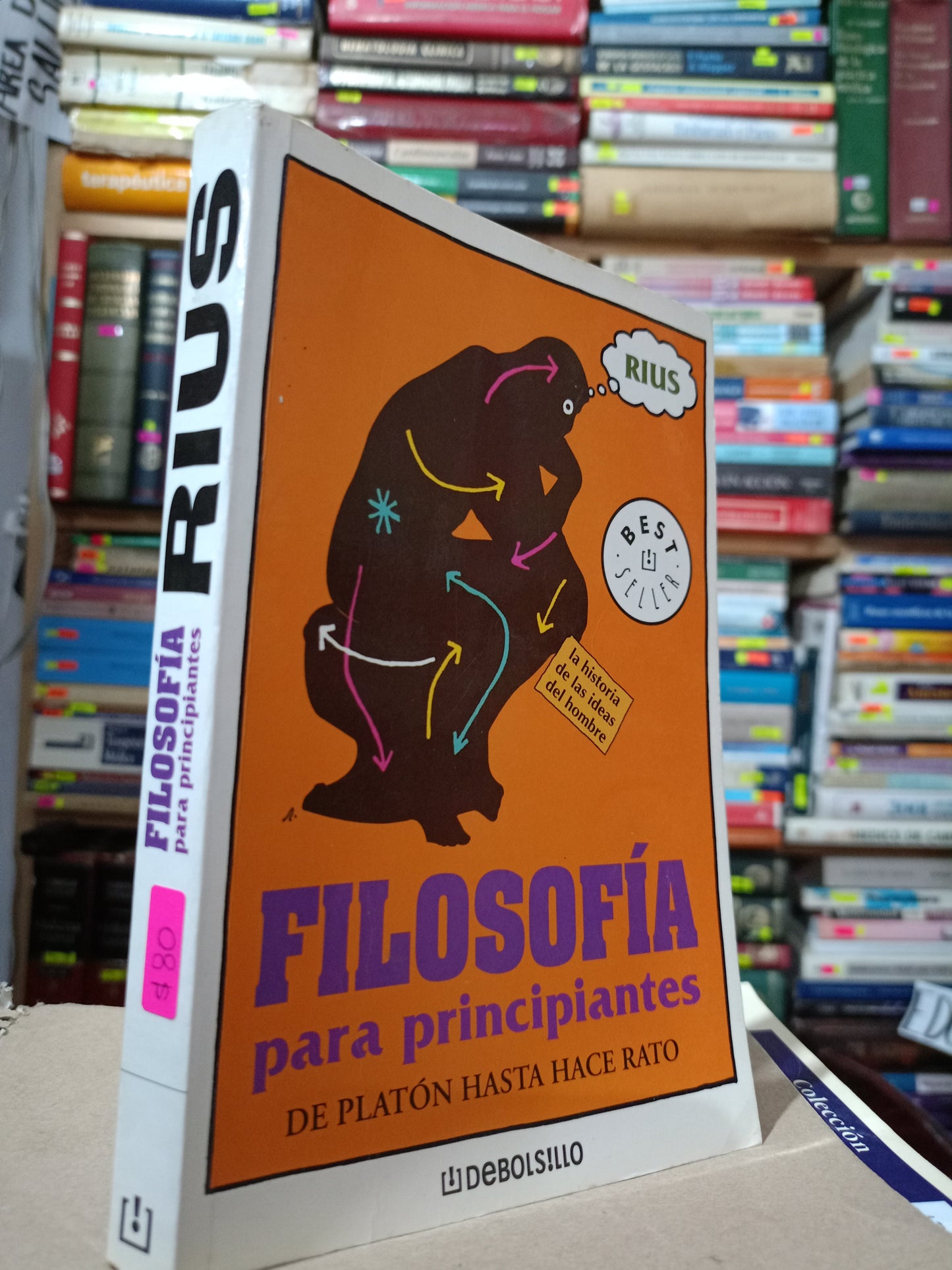 FILOSOFIA PARA PRINCIPIANTES DE PLATON HASTA HACE UN RATO USADO NOVELA LITERARIO 305