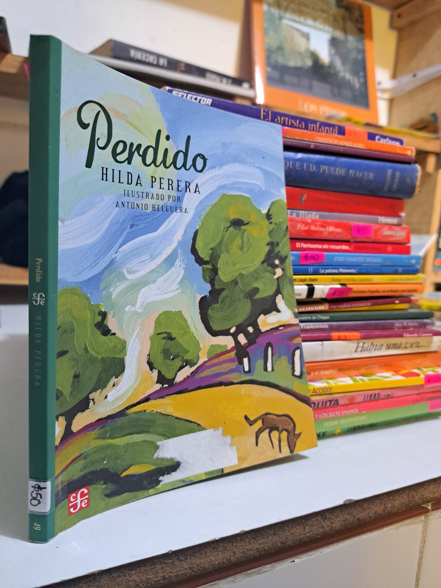 PERDIDO HILDA PERERA USADO INFANTIL JUÁREZ