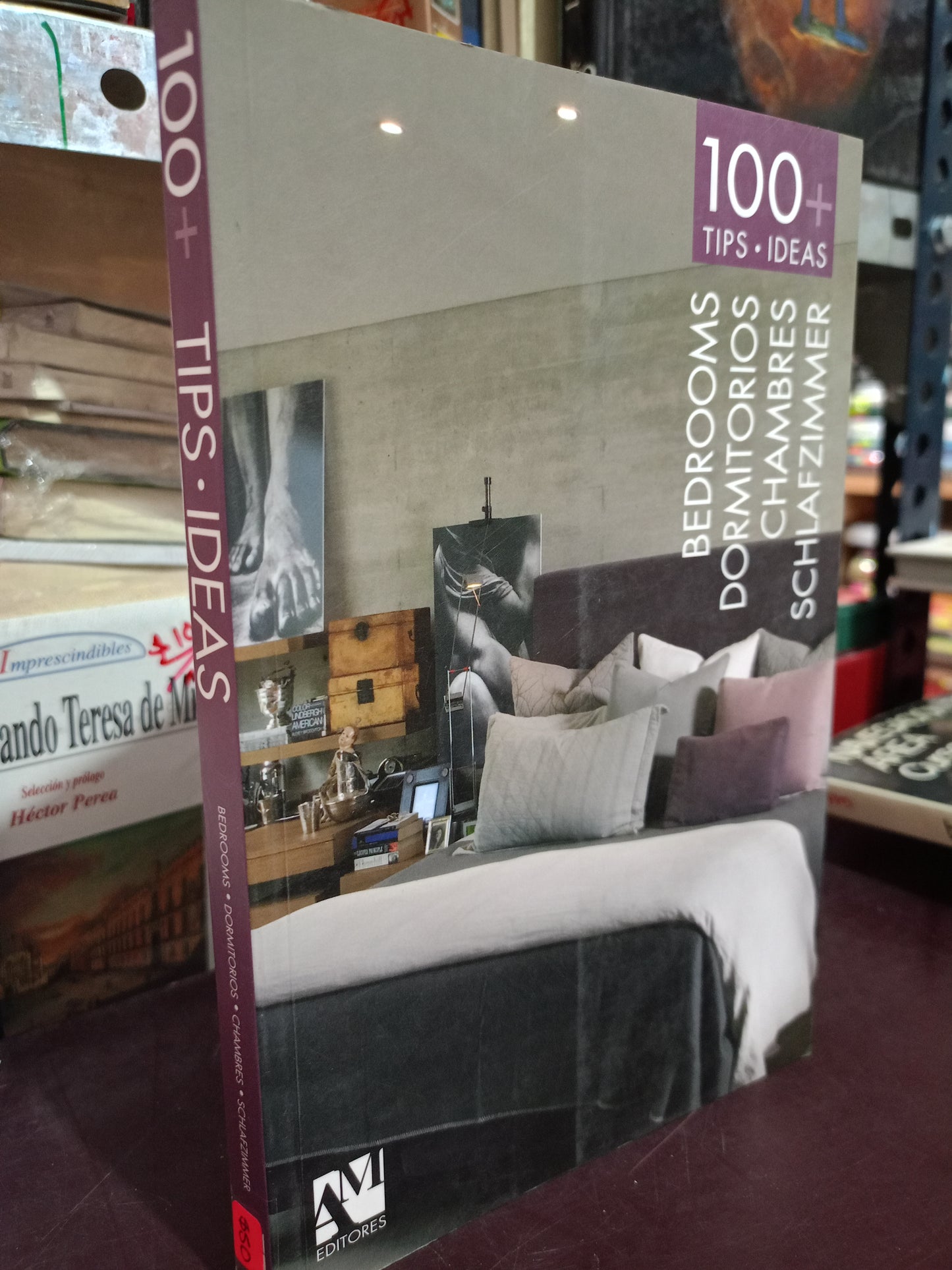 100 TIPS IDEAS BEDROOMS DORMITORIOS CHAMBRES SCHLAFZIMMER USADO OFICIOS LITERARIO 305