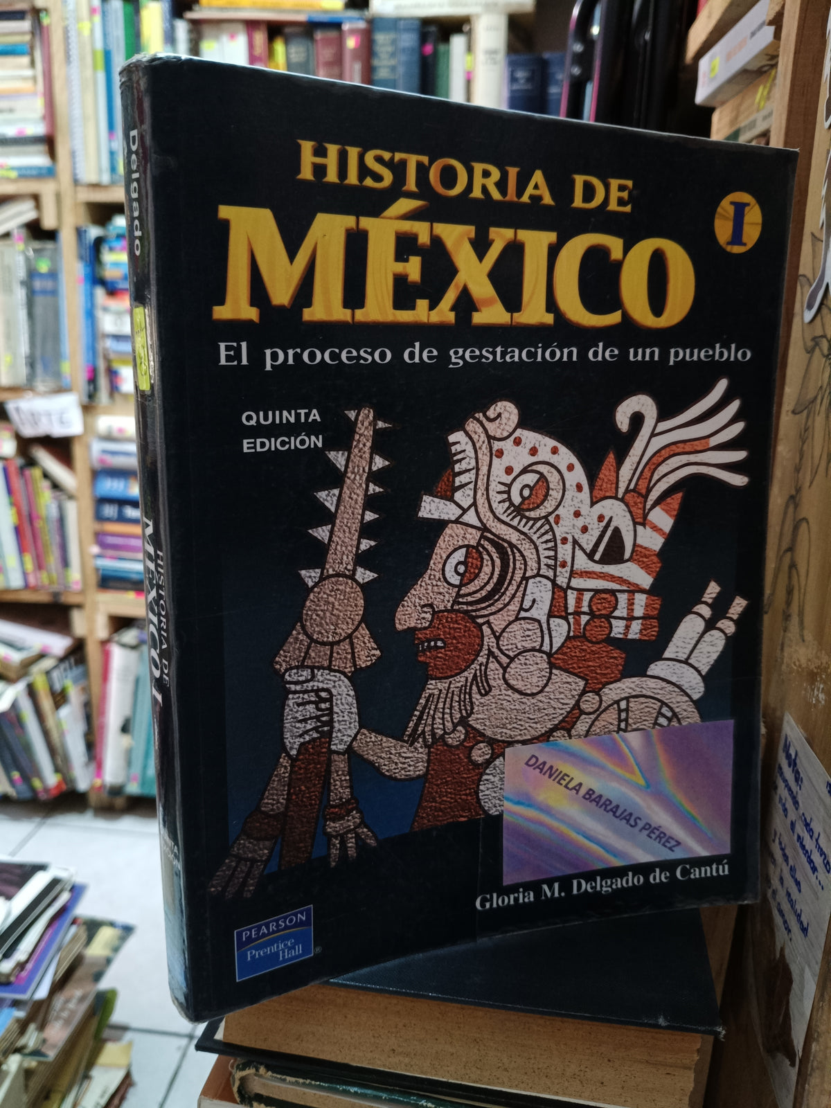 HISTORIA DE MEXICO EL PROCESO DE GESTACION DE UN PUEBLO GLORIA M. DELGADO DE CANTU USADO HISTORIA LITERARIO 305