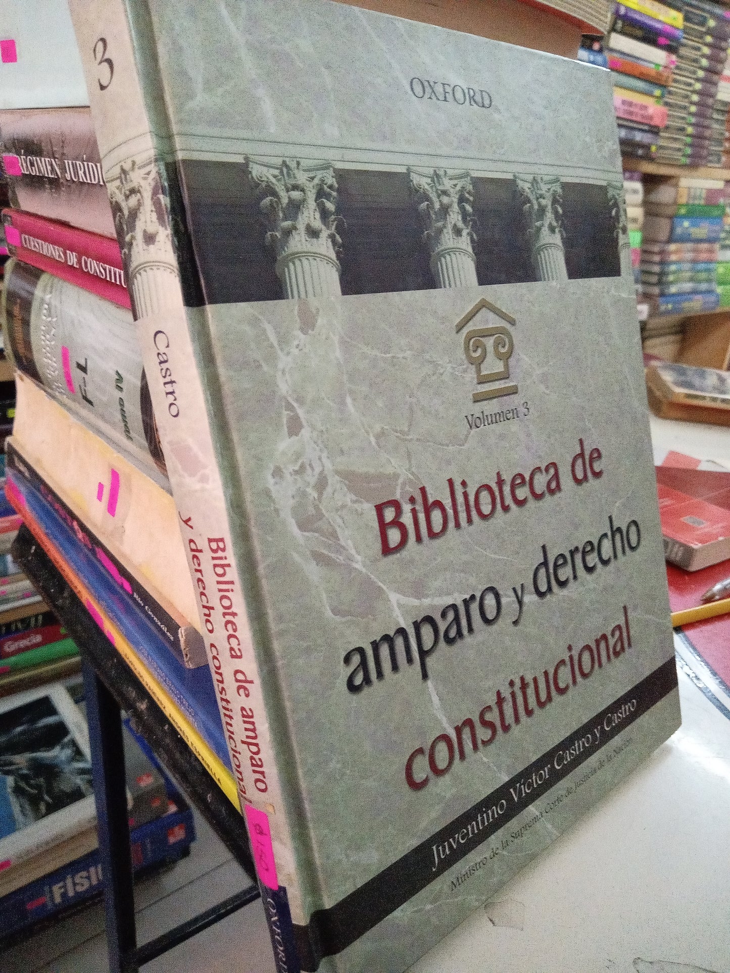BIBLIOTECA DE AMPARO Y DERECHO CONSTITUCIONAL POR OXFORD USADO DERECHO LITERARIO 207