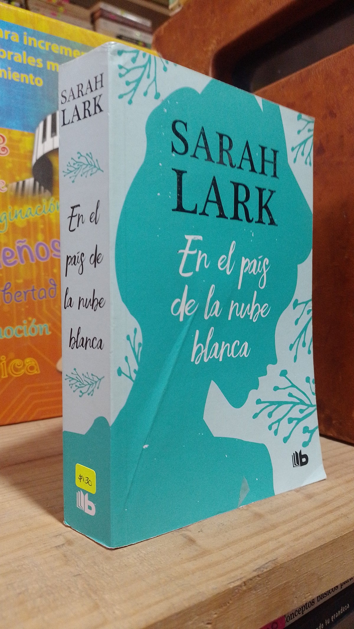 EN EL PAIS DE LA NUBE BLANCA POR SARAH LARK USADO NOVELA ALDAMA