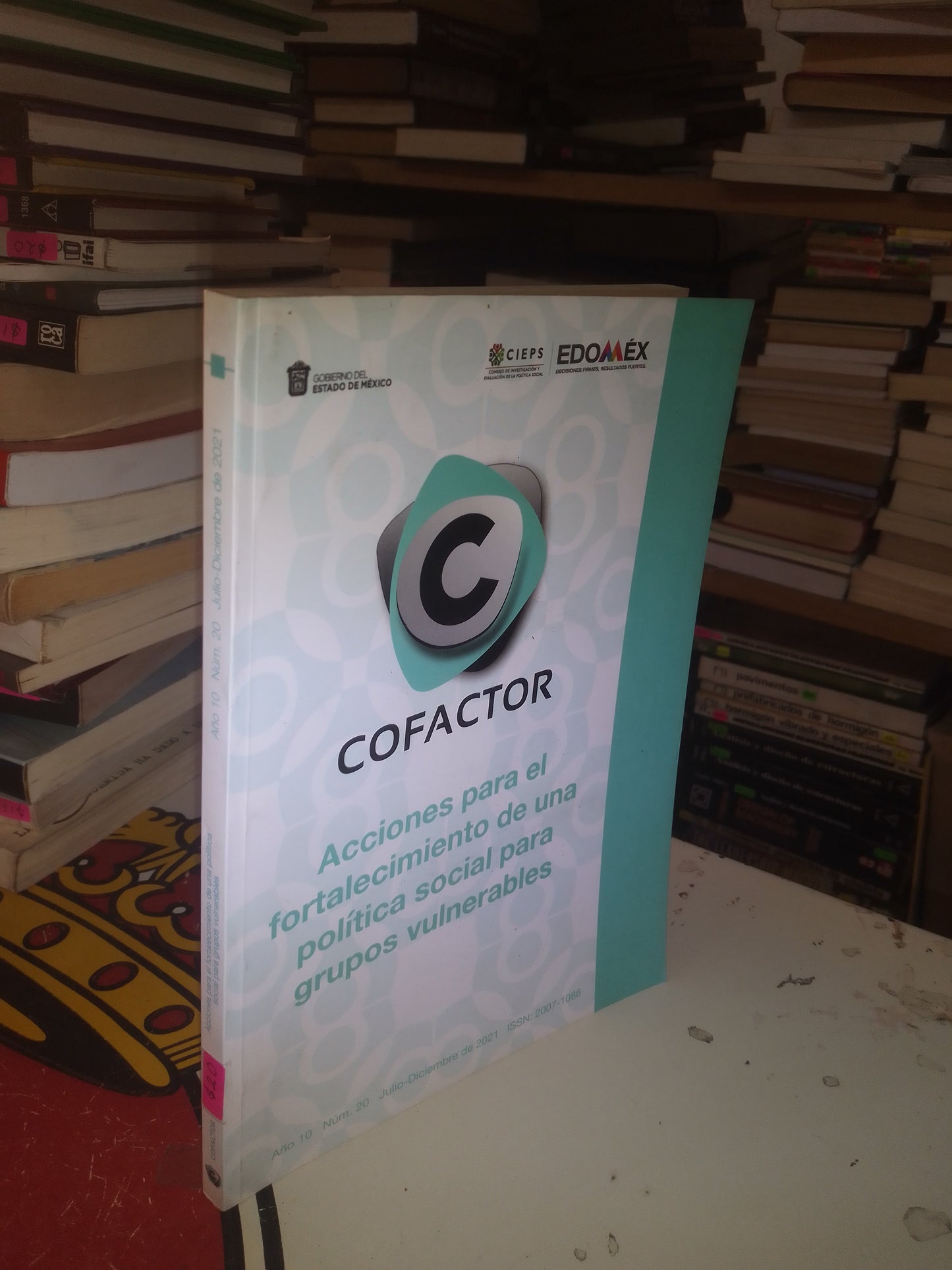 ACCIONES PARA EL FORTALECIMIENTO DE UNA POLÍTICA SOCIAL PARA GRUPOS VULNERABLES (VARIOS AUTORES) USADO SOCIOLOGÍA LITERARIO 207