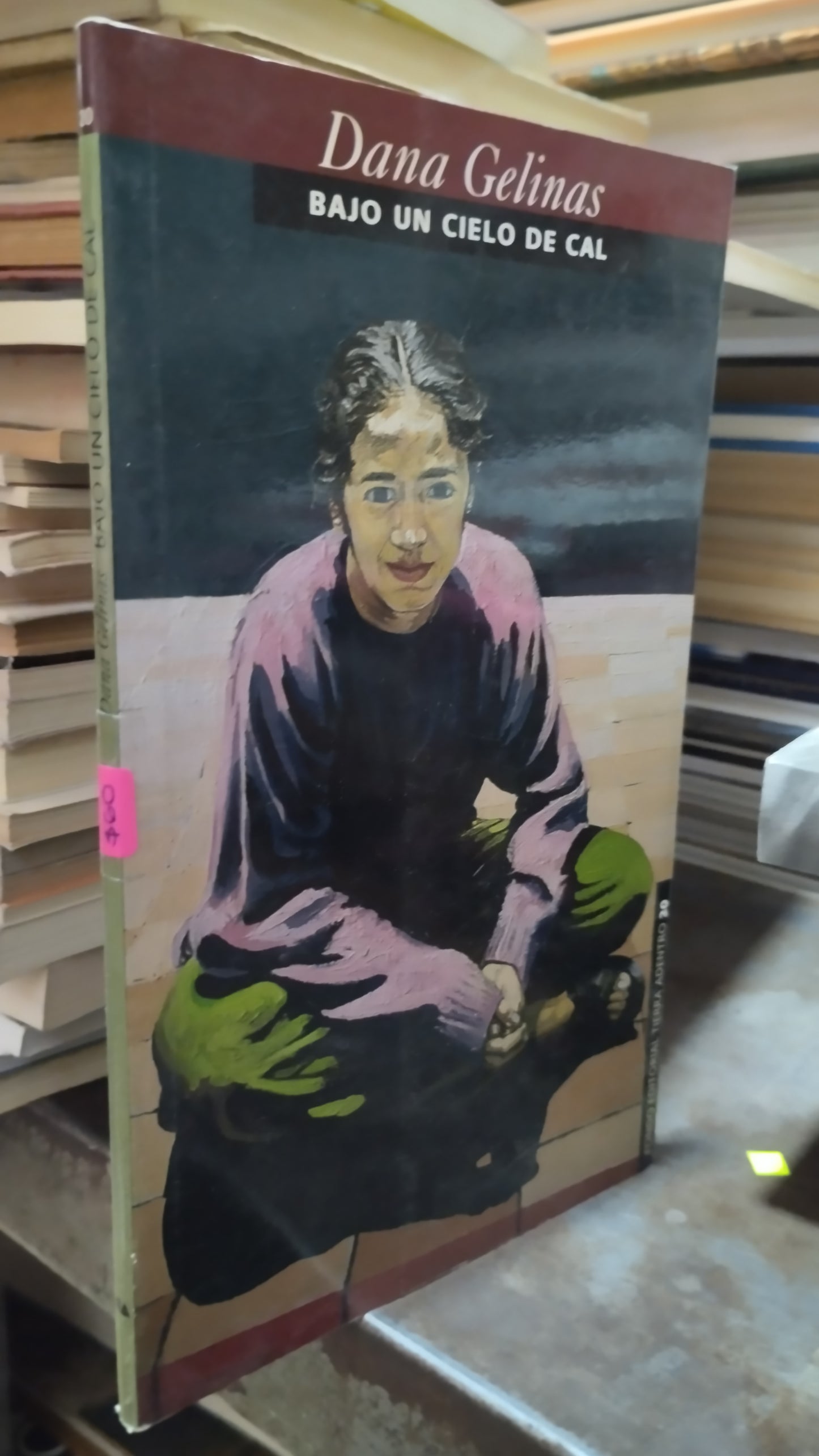 BAJO UN CIELO DE CAL POR DANA GELINAS LIBRO USADO POESIA ALDAMA