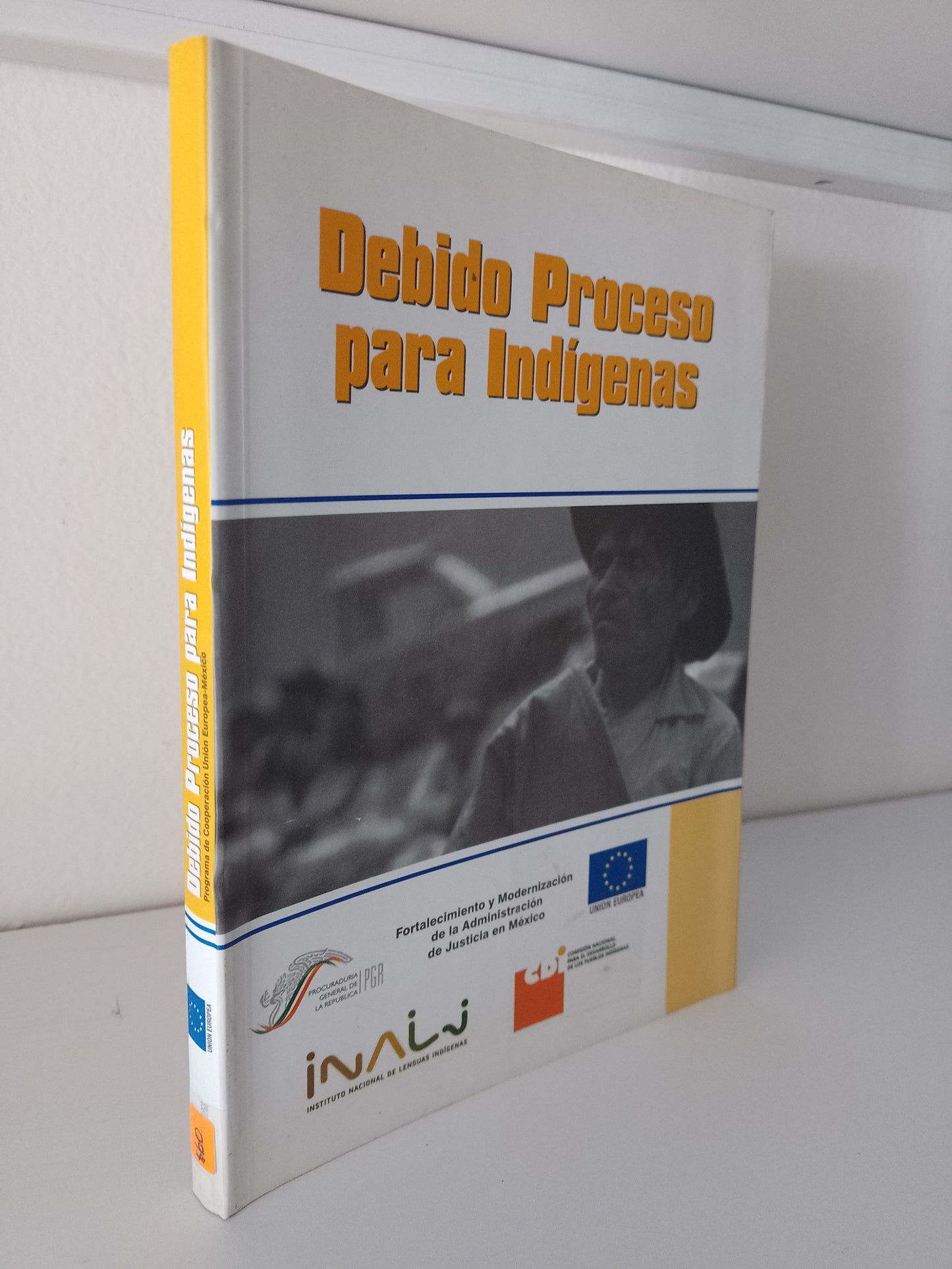 DEBIDO PROCESO PARA INDIGENAS POR VARIOS AUTORES USADO POLITICA JUAREZ 515