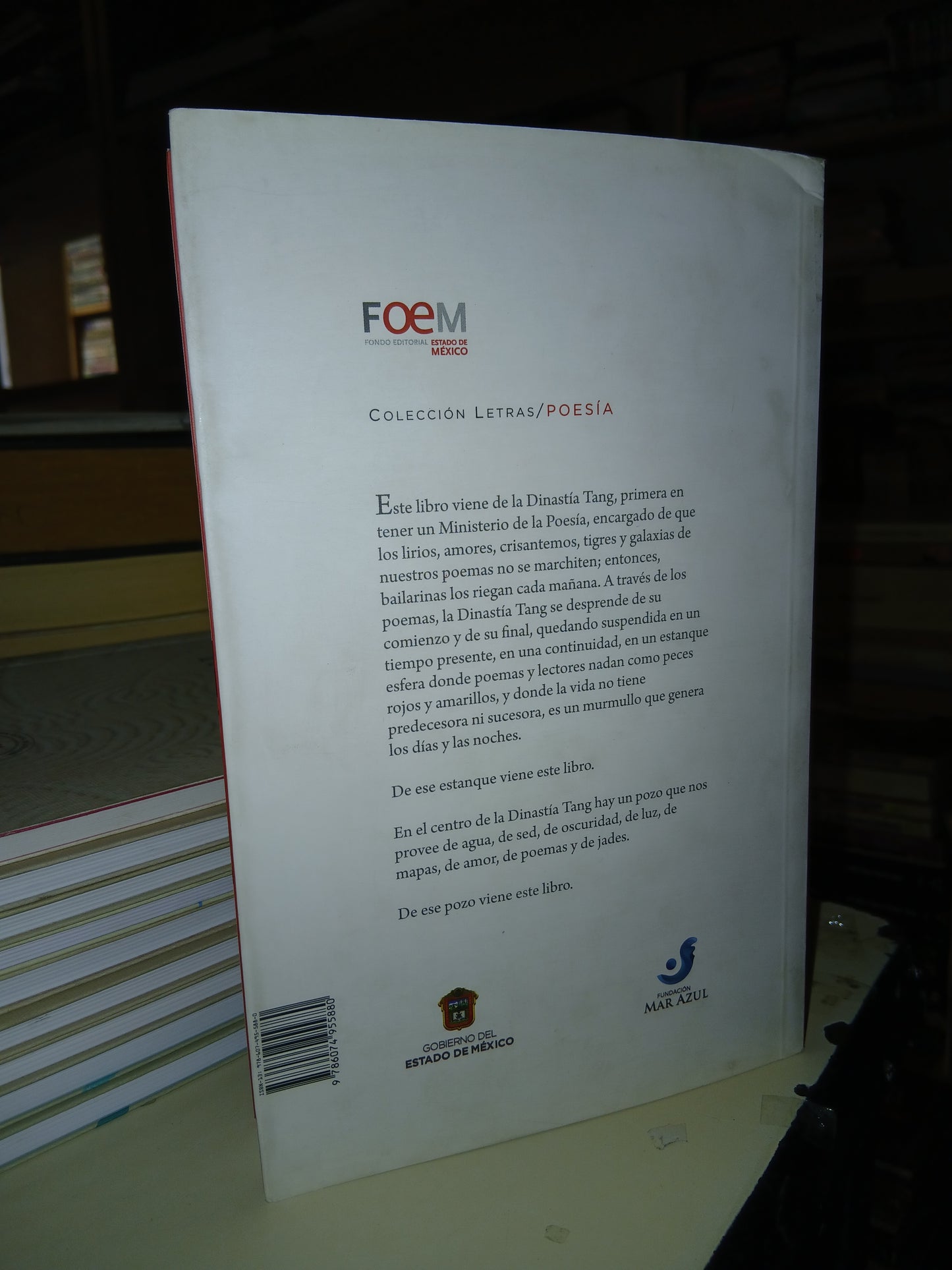 EL LIBRO DE LA DINASTÍA DE BAMBÚ POR JOSÉ MARÍA ZONTA USADO POESÍA LITERARIO 207