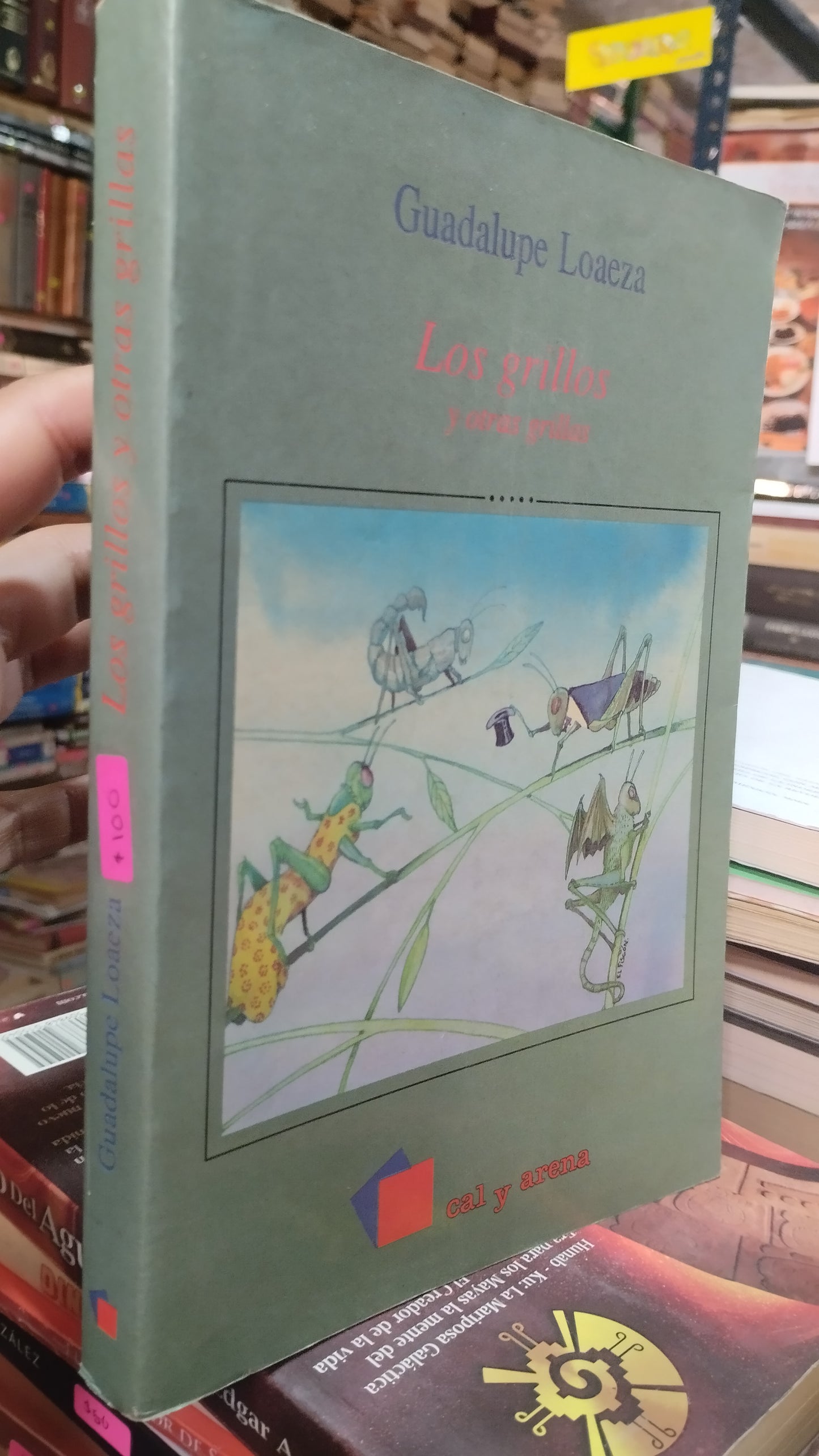 LOS GRILLOS Y OTRAS GRILLAS POR GUADALUPE LOAEZA LIBRO USADO NOVELAS ALDAMA