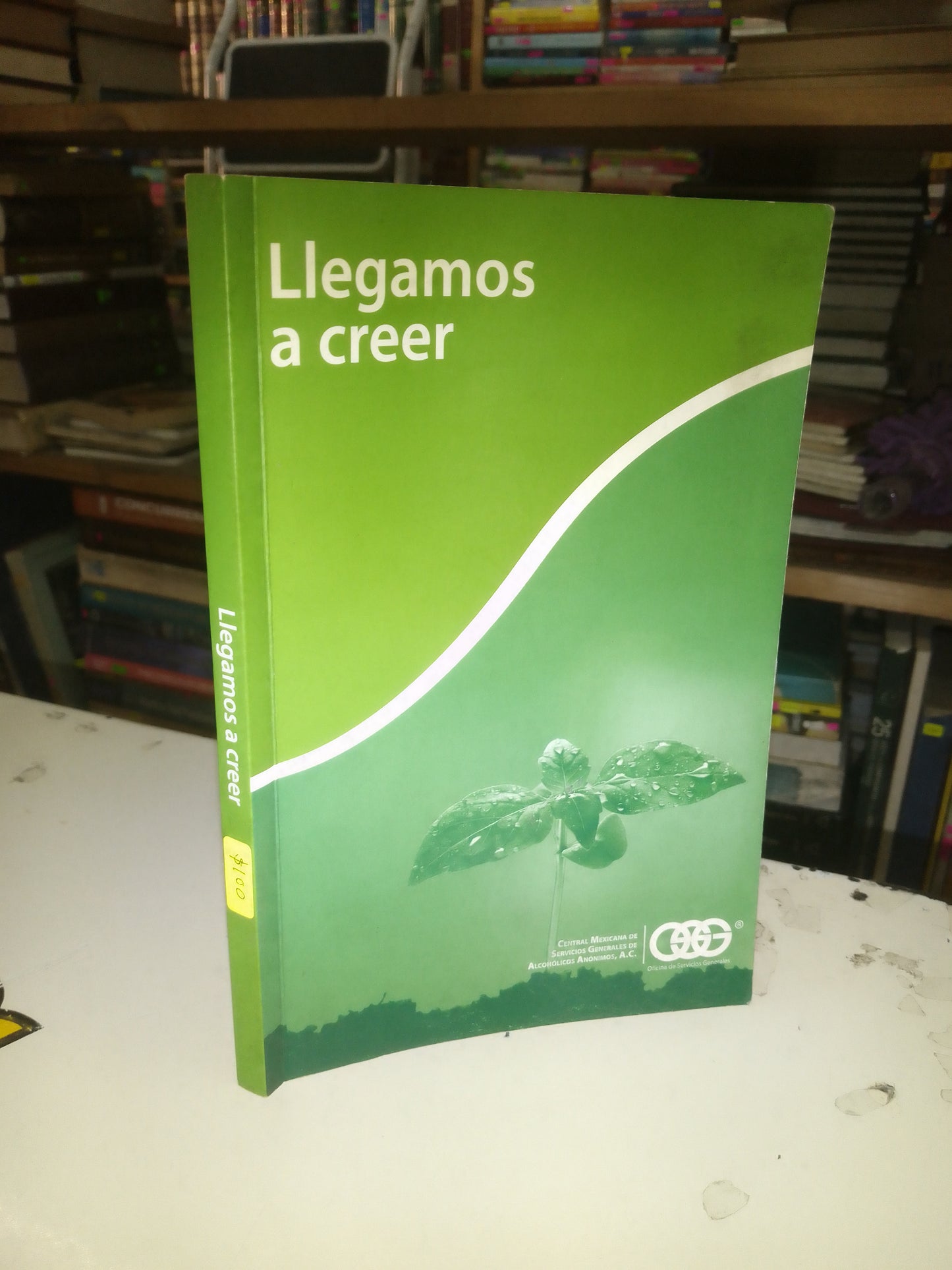 LLEGAMOS A CREER USADO SUPERACIÓN PERSONAL LITERARIO 207