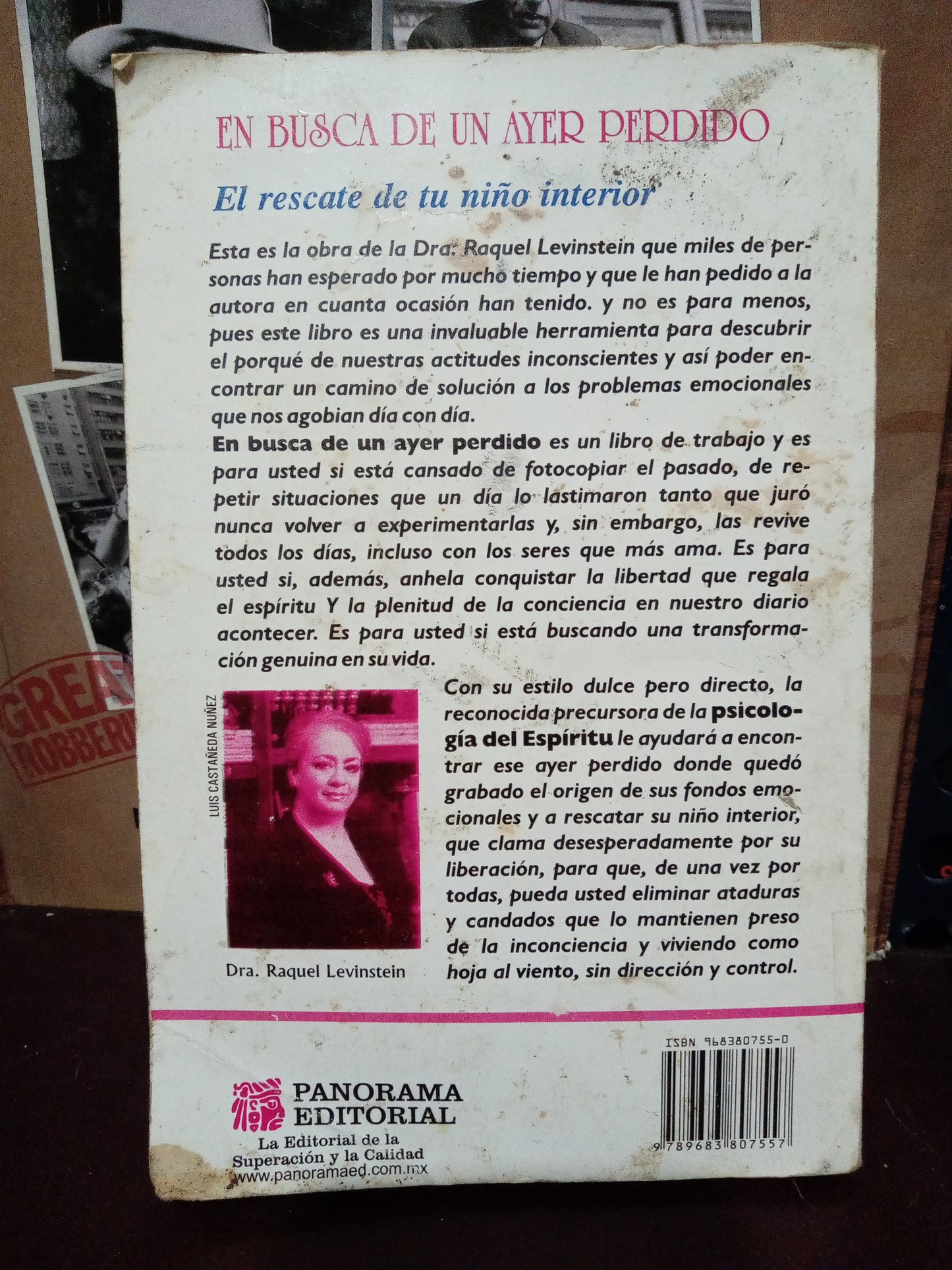 EN BUSCA DE UN AYER PERDIDO DRA. RAQUEL LEVINSTEIN USADO S.PERSONAL LITERARIO 305