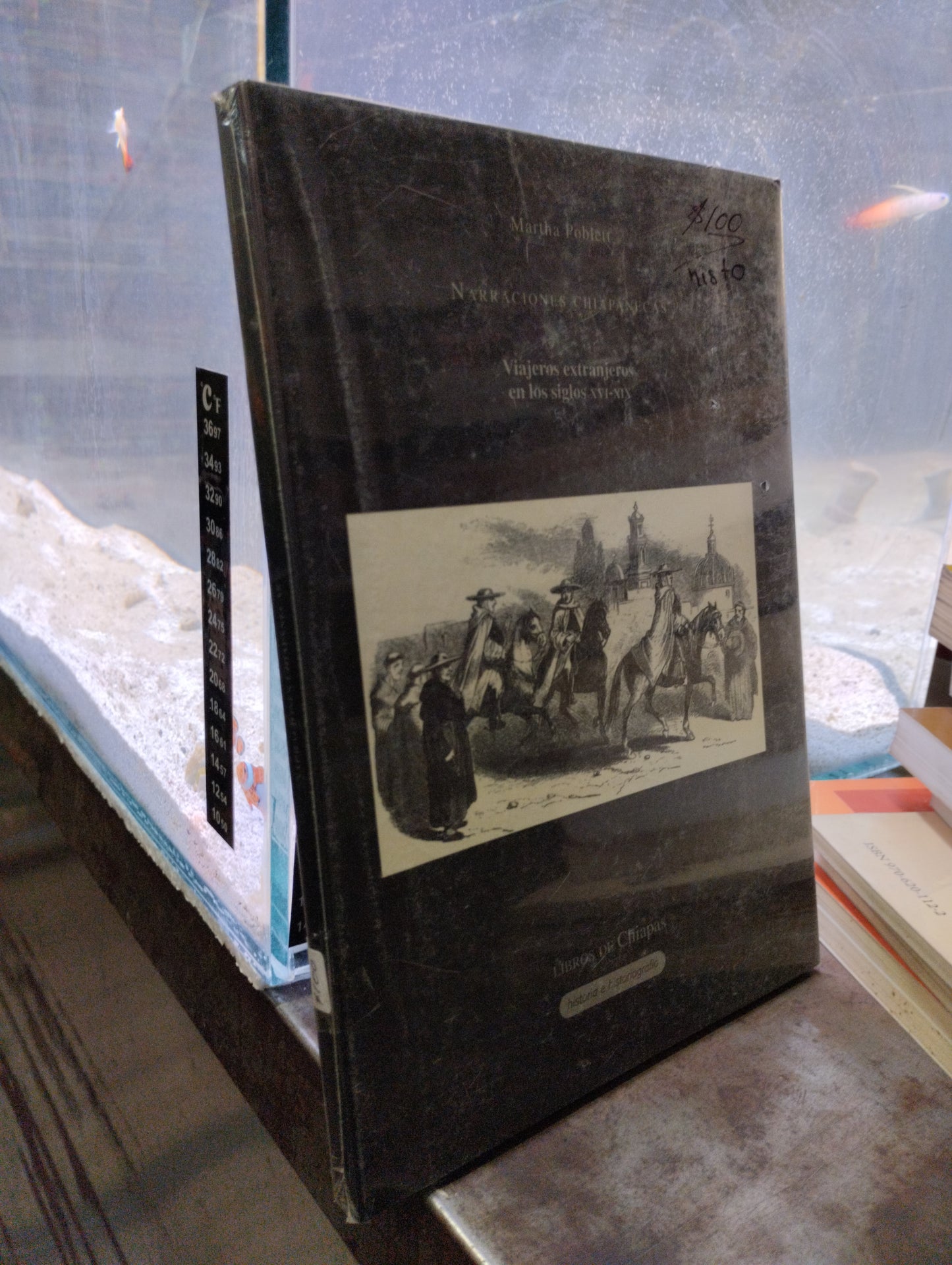 VIAJEROS EXTRANJEROS EN LOS SIGLOS XVI XIX NARRACIONES CHIAPANECAS POR MARTHA POBLETT USADO HISTORIA ALDAMA