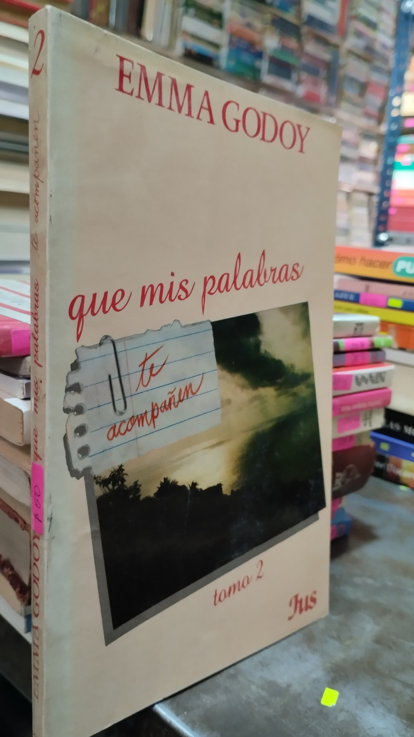 QUE MIS PALABRAS TE ACOMPAÑEN TOMO 2 POR EMMA GODOY LIBRO USADO SUPERACION PERSONAL ALDAMA
