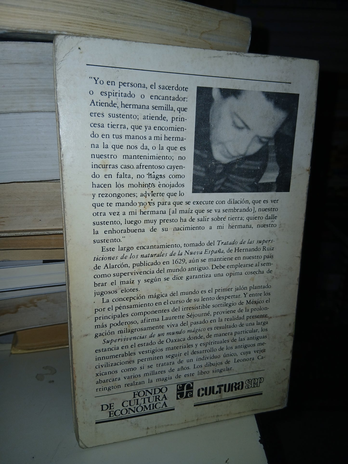 SUPERVIVENCIAS DE UN MUNDO MÁGICO POR LAURETTE SÉJOURNÉ USADO NOVELA LITERARIO 207