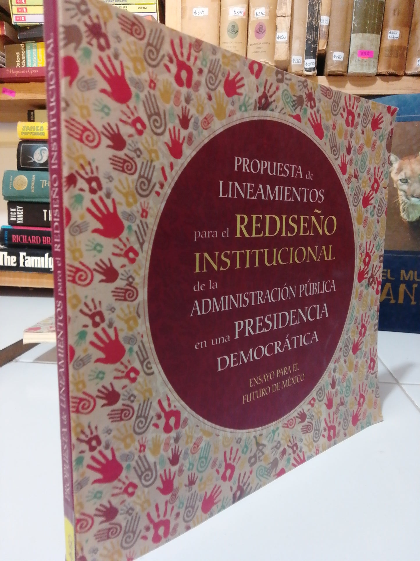 PROPUESTA DE LINEAMIENTOS PARA EL REDISEÑO INSTITUCIONAL USADO HISTORIA JUAREZ