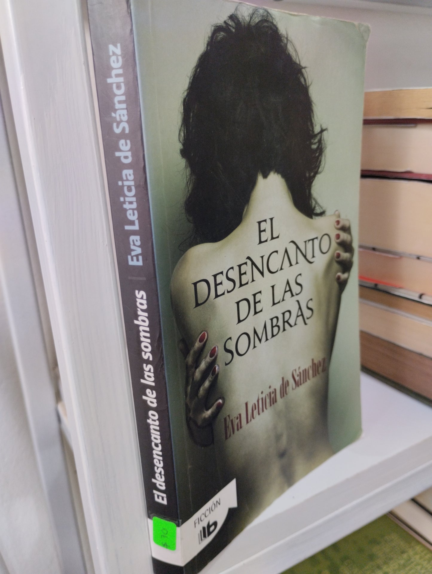 EL DESENCANTO DE LAS SOMBRAS EVA LETICIA DE SANCHEZ USADO NOVELAS JUAREZ 515