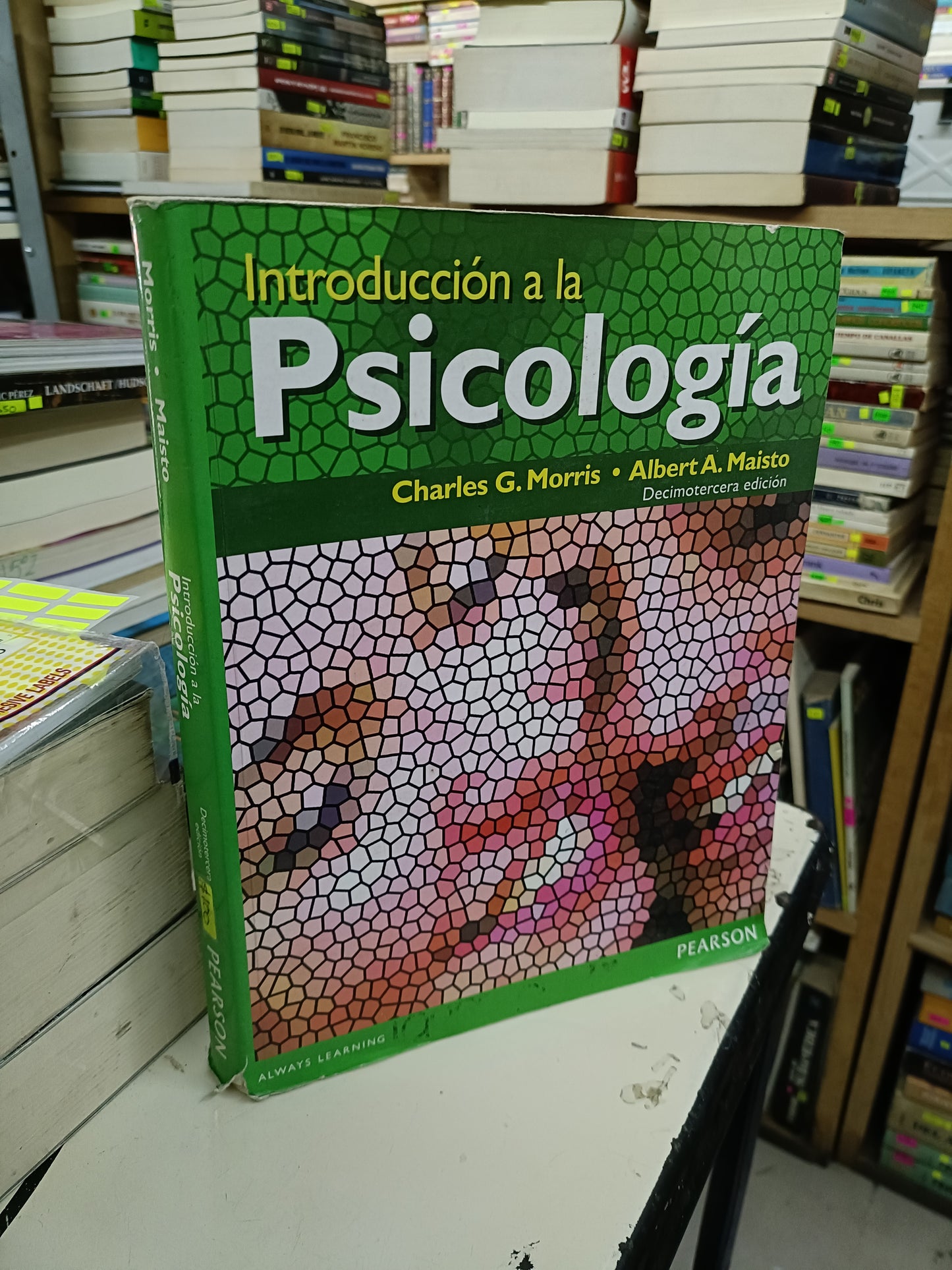 INTRODUCCION A LA PSICOLOGÍA POR CHARLES G. MORRIS Y ALBERT A. MAISTO USADO PSICOLOGÍA LITERARIO 207