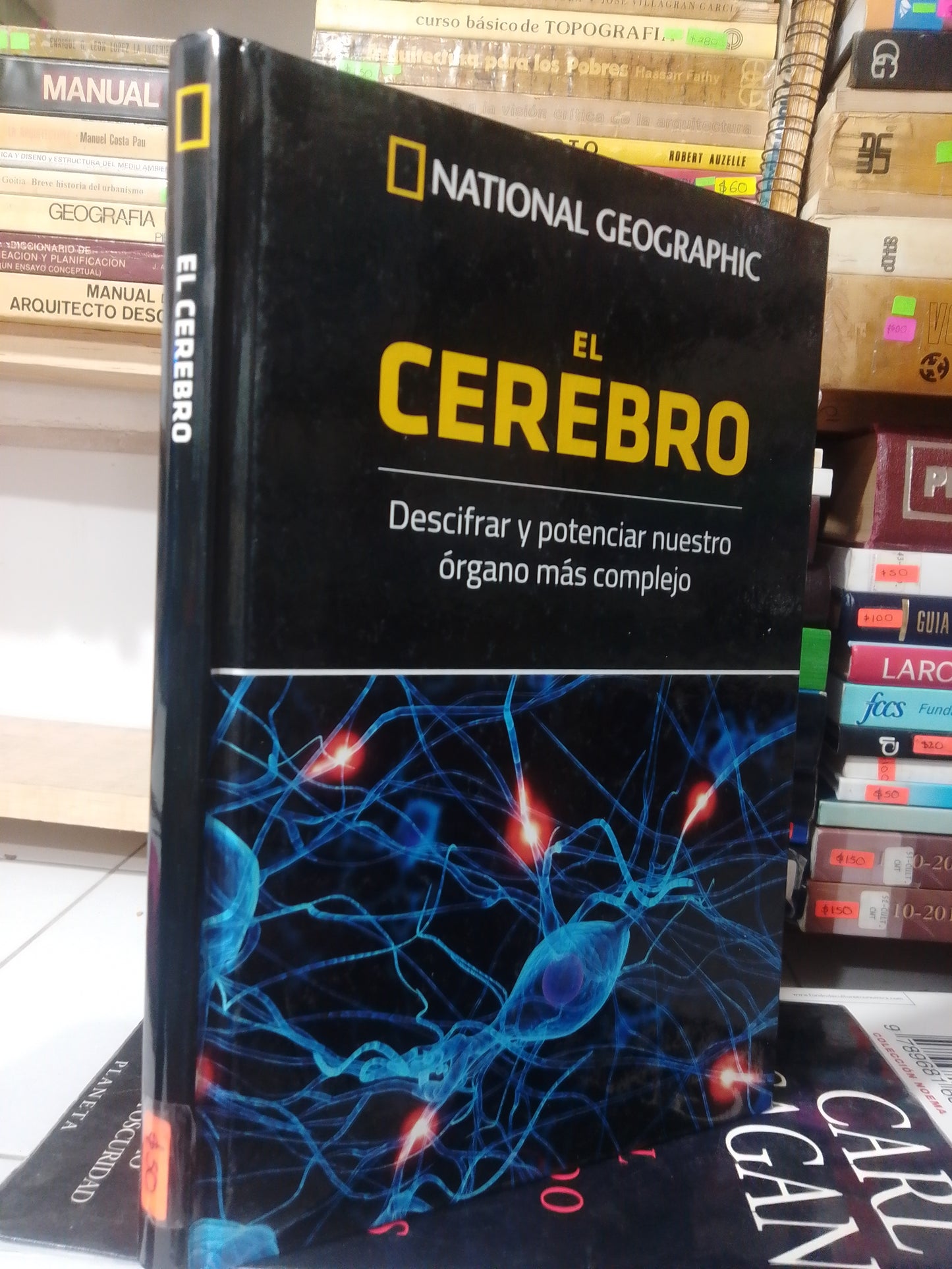 EL CEREBRO USADO CIENCIA JUAREZ