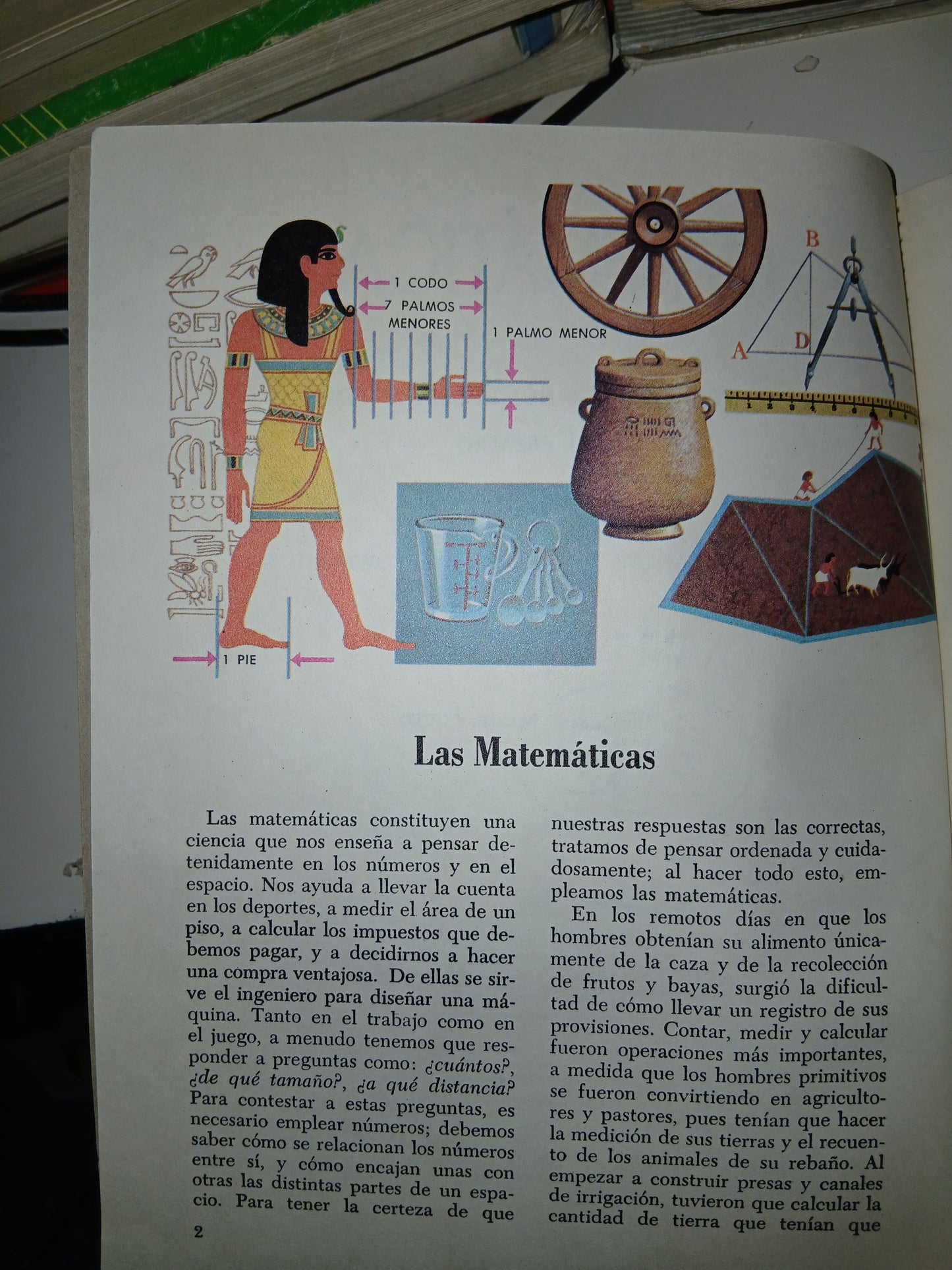 MATEMÁTICAS. LA HISTORIA DE LOS NÚMEROS, DE LOS SÍMBOLOS Y DEL ESPACIO POR IRVING ADLER USADO MATEMÁTICAS LITERARIO 207