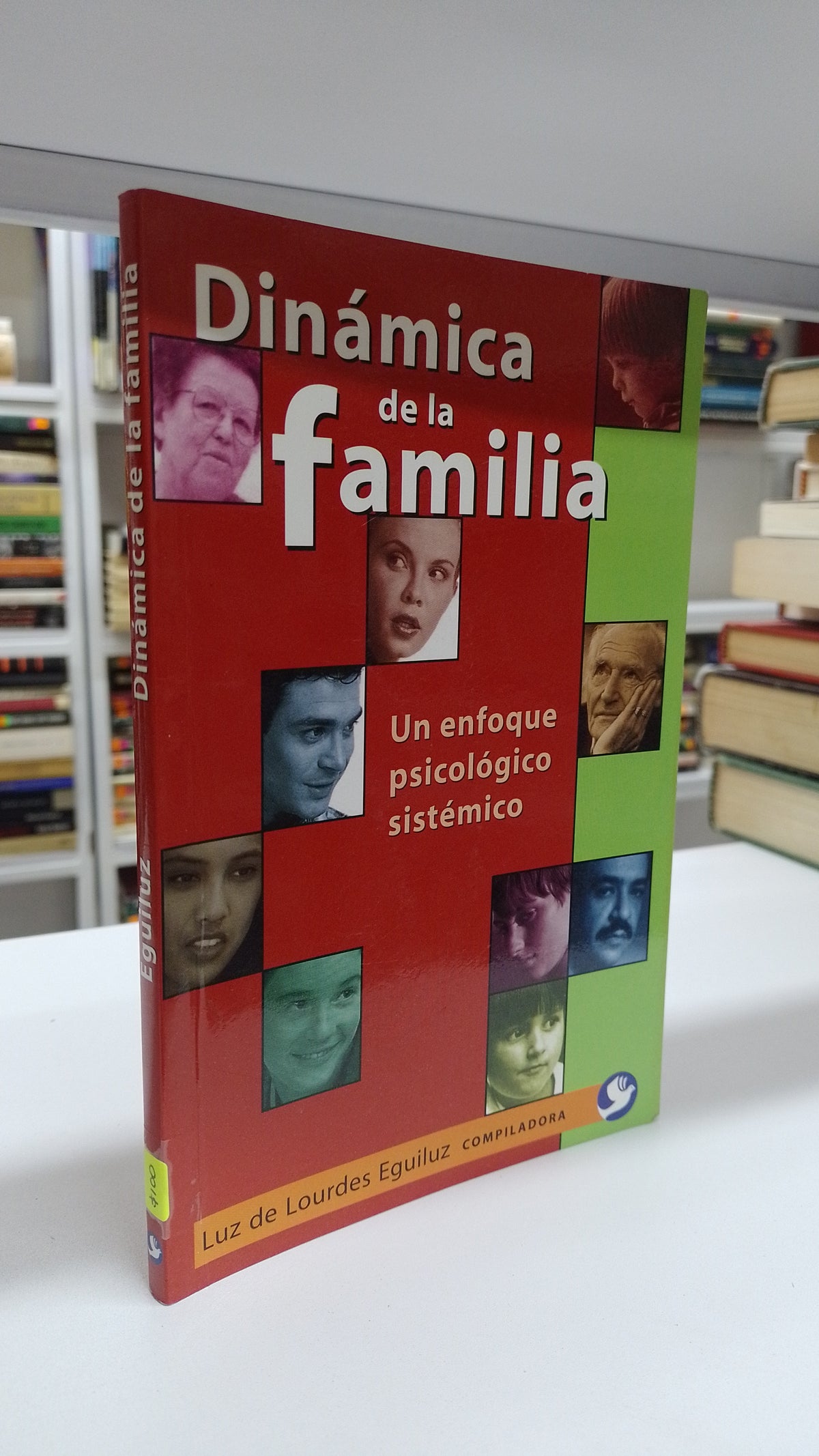 DINAMICA DE LA FAMILIA POR LUZ DE LOURDES EGUILUZ USADO PSICOLOGIA JUAREZ 515
