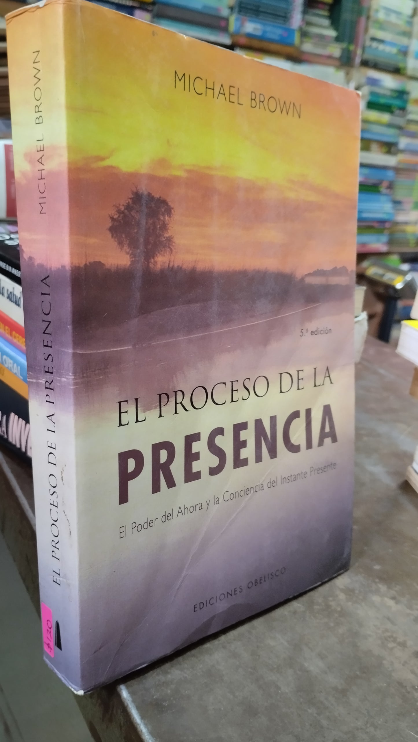 EL PROCESO DE LA PRESENCIA POR MICHAEL BROWN LIBRO USADO SUPERACION PERSONAL ALDAMA