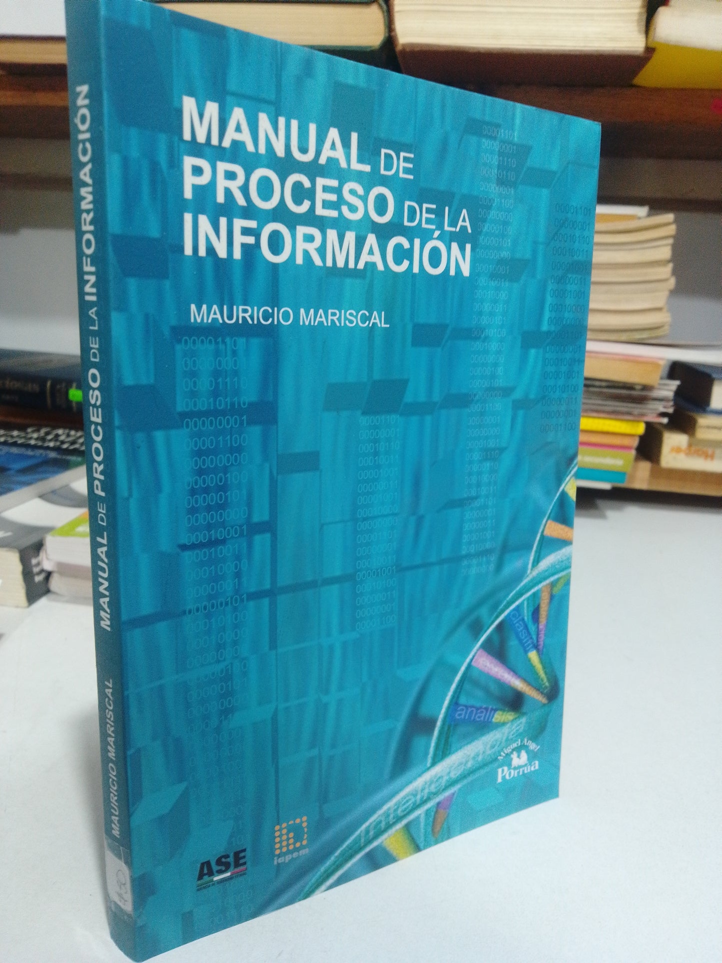 MANUAL DE PROCESO DE LA INFORMACION POR MAURICIO MARISCAL USADO HISTORIA JUAREZ